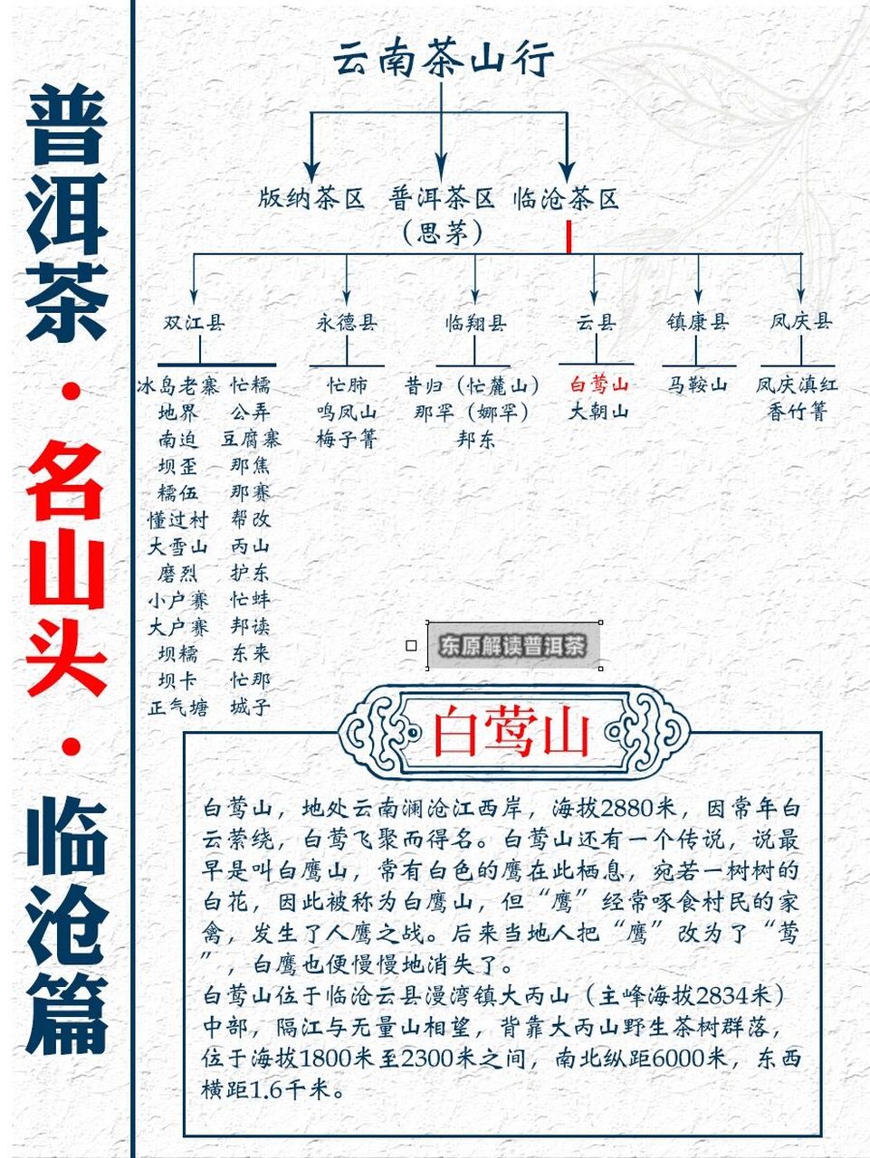 普洱茶山行|白莺山古树茶 白莺山,地处云南澜沧江西岸,海拔2880米,因