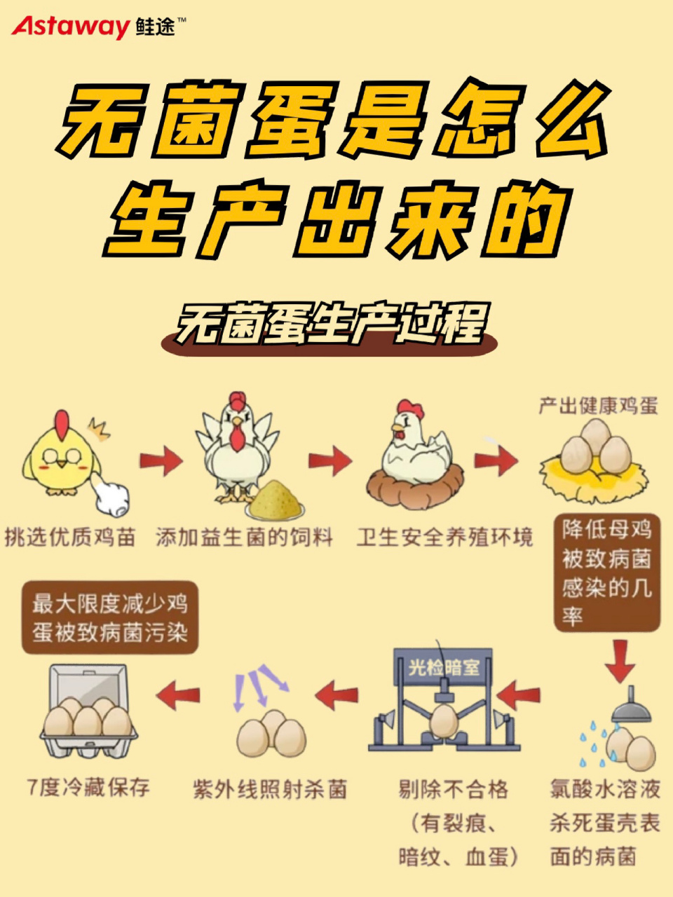 所谓的无菌蛋,实际应该叫"少菌蛋"04就是病菌含量很少,尤其是不
