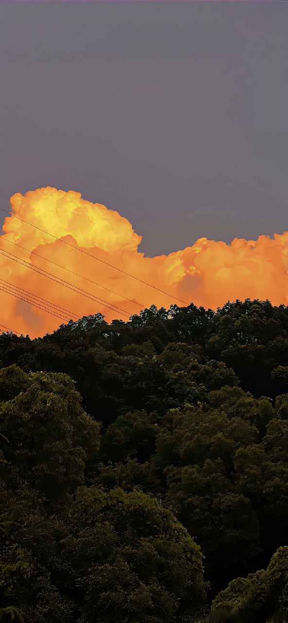 该换锁屏壁纸啦! #情感# #文案# #朋友圈文案