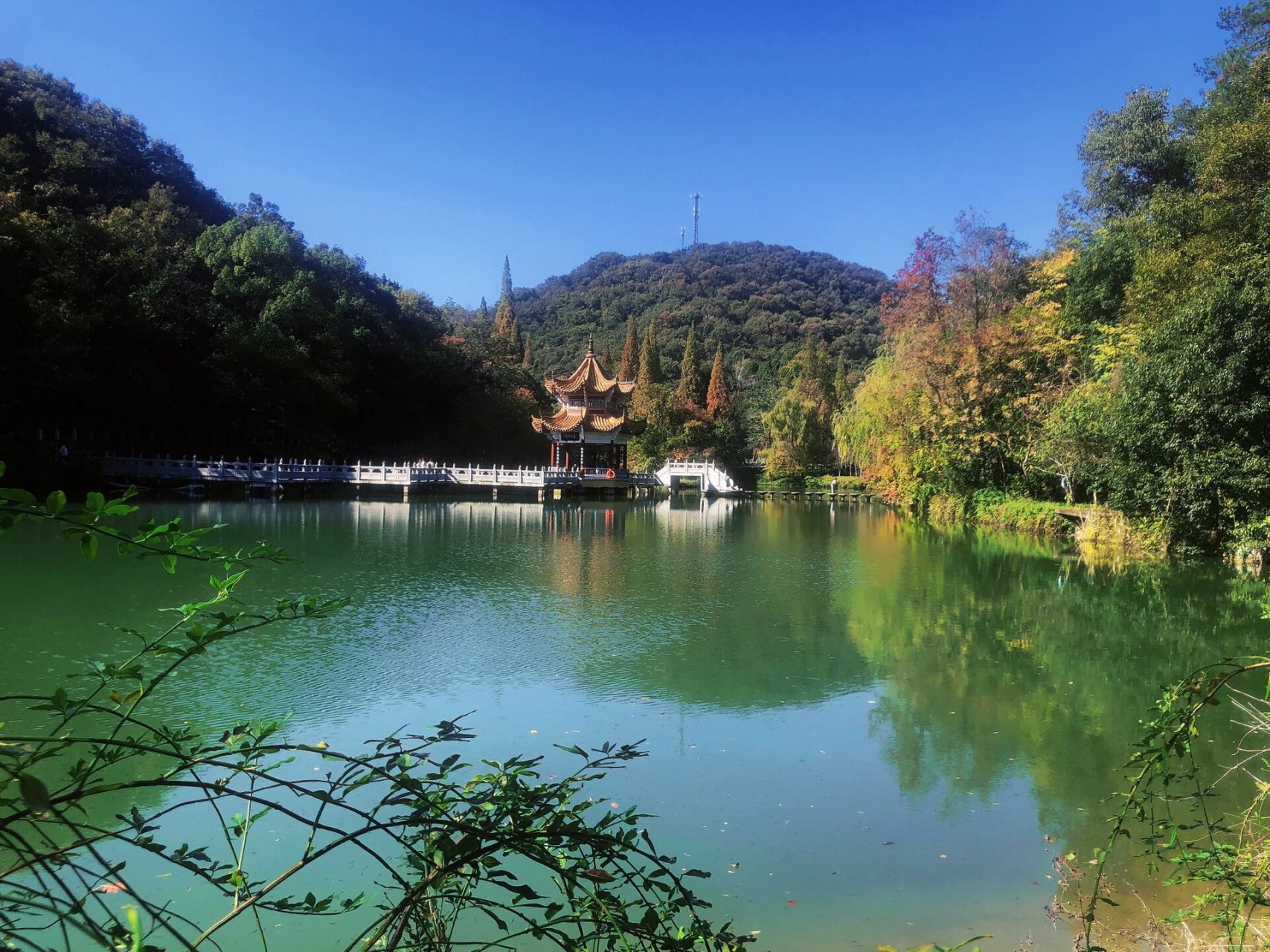 宜昌 旅游| 当阳玉泉寺 | 银杏 如果来宜昌,当阳玉泉寺不能错过!