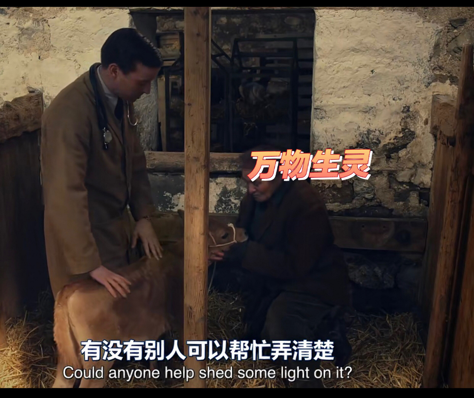 谁能帮我把这句话解释清楚点04 98 shed light on9899 阐明