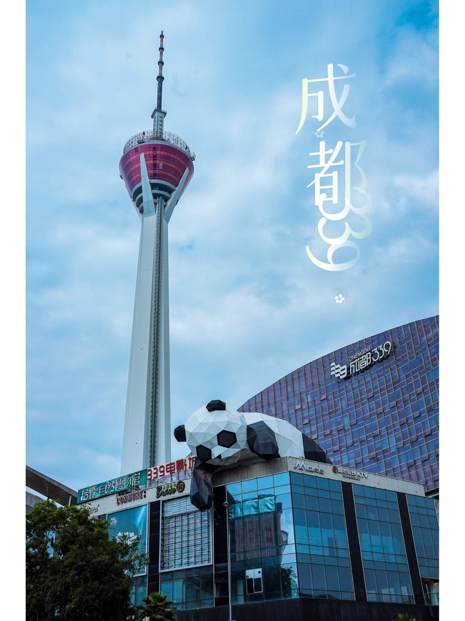 成都339的大熊猫你看了吗 成都339电视塔,塔高339米,是西部第一高.