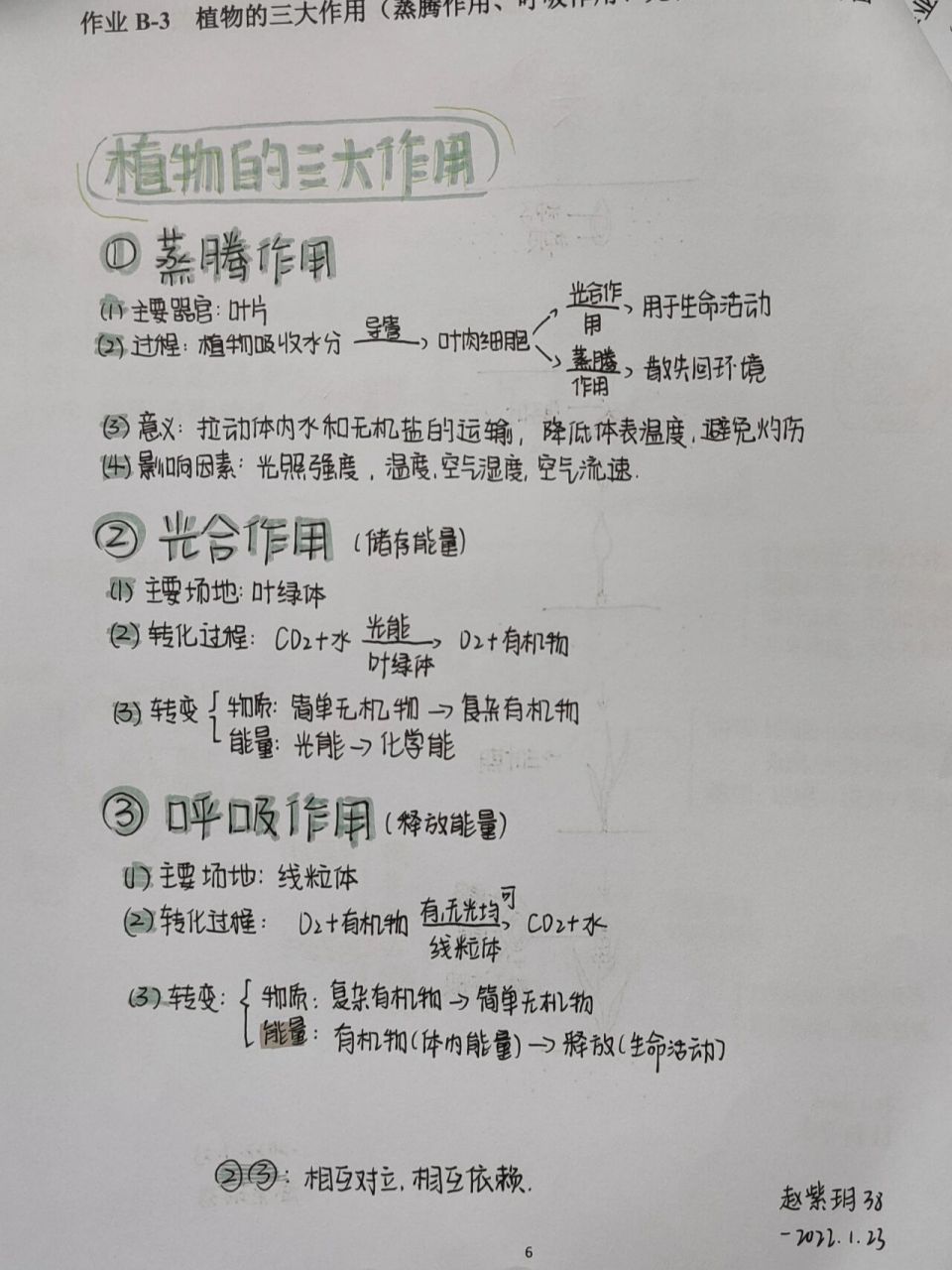 七上生物:植物的三大作用 思维导图