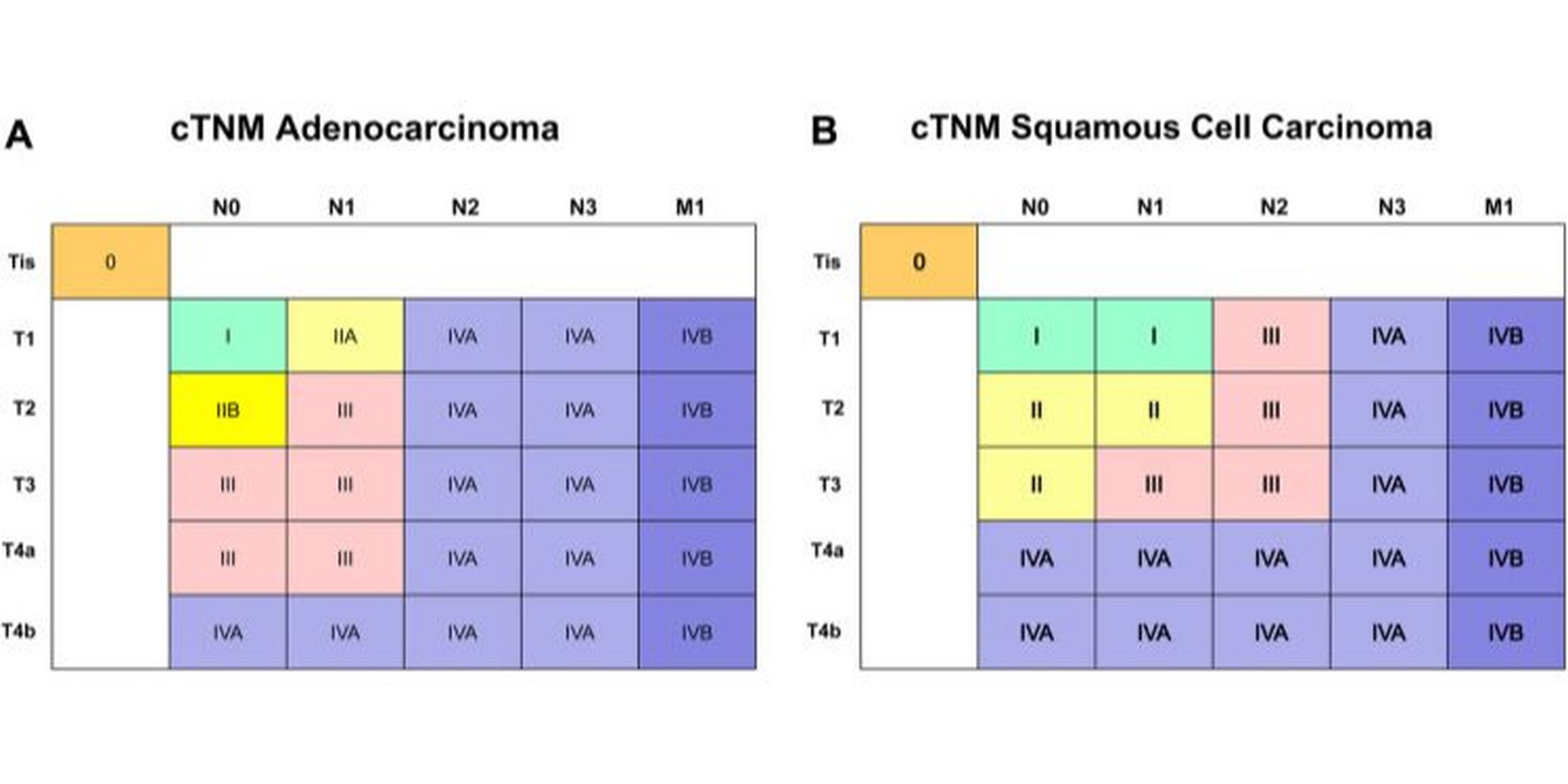 食管癌分期(ajcc 8th) 食管癌分期(ajcc 8th) 0202020202