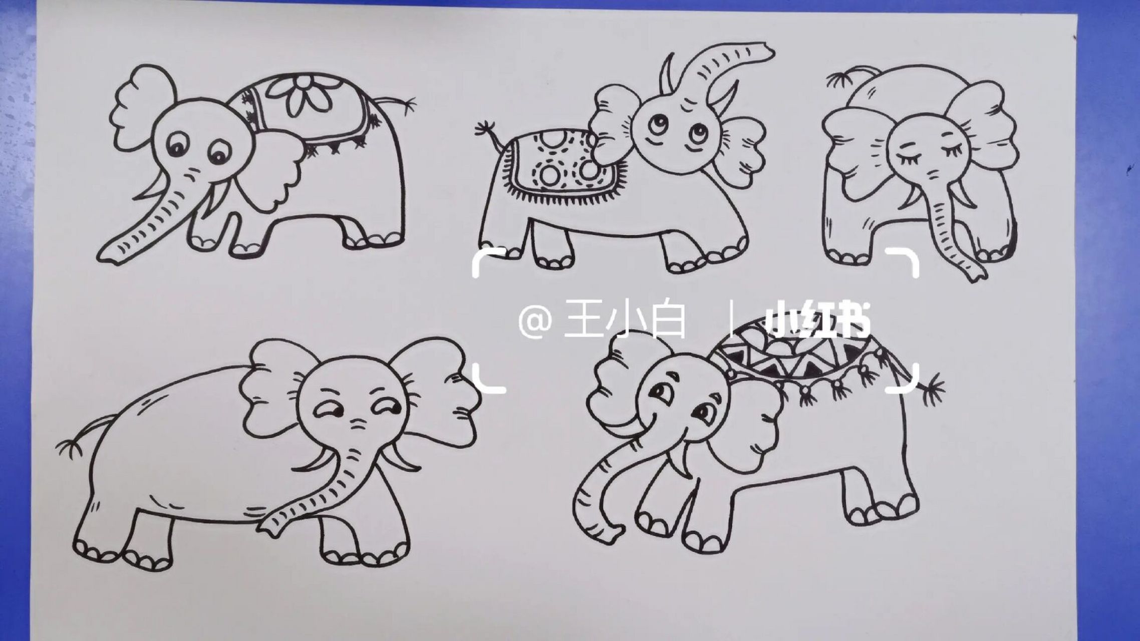 故事画创作《盲人摸象》 适合7--9岁孩子学习的故事画创作《盲人摸象