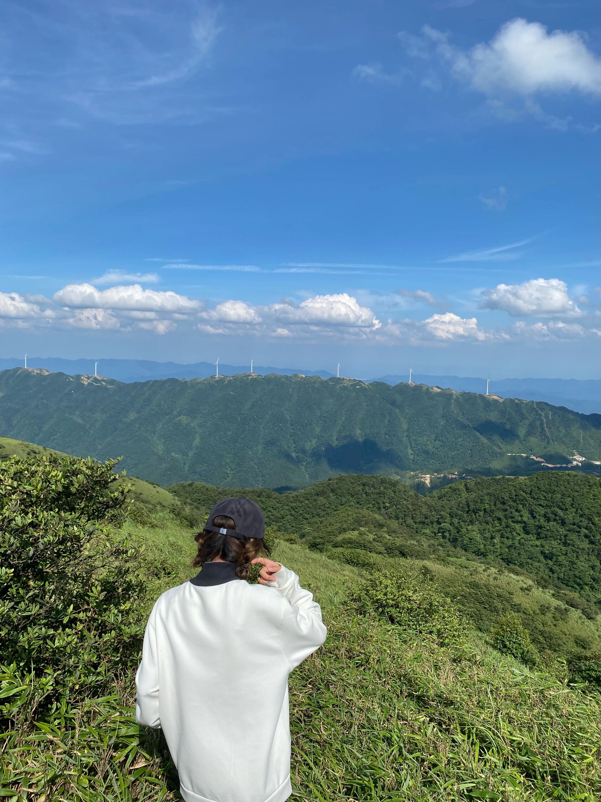 苏宝顶露营图片