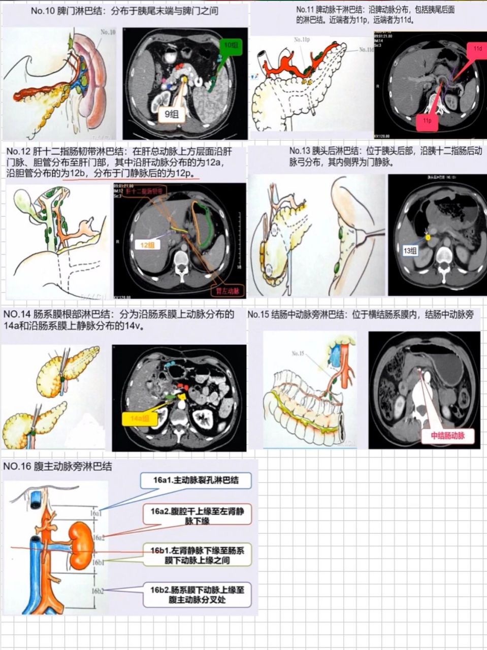 淋巴结门图片