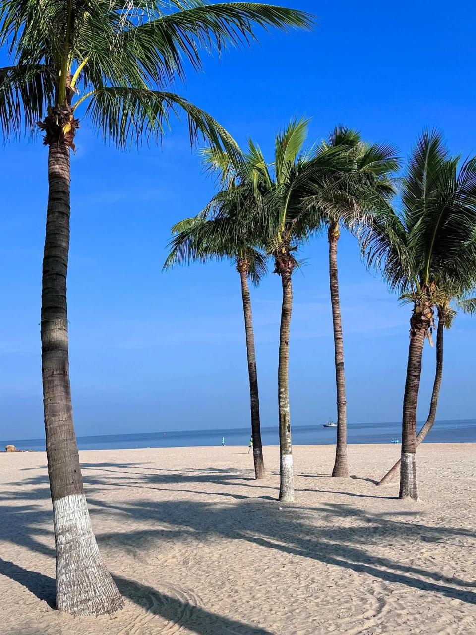 珠海白沙滩 你在北方穿着貂,我在南方露着腰