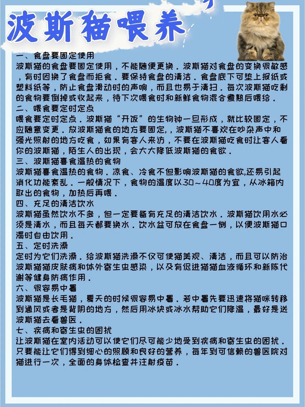 波斯猫品种介绍