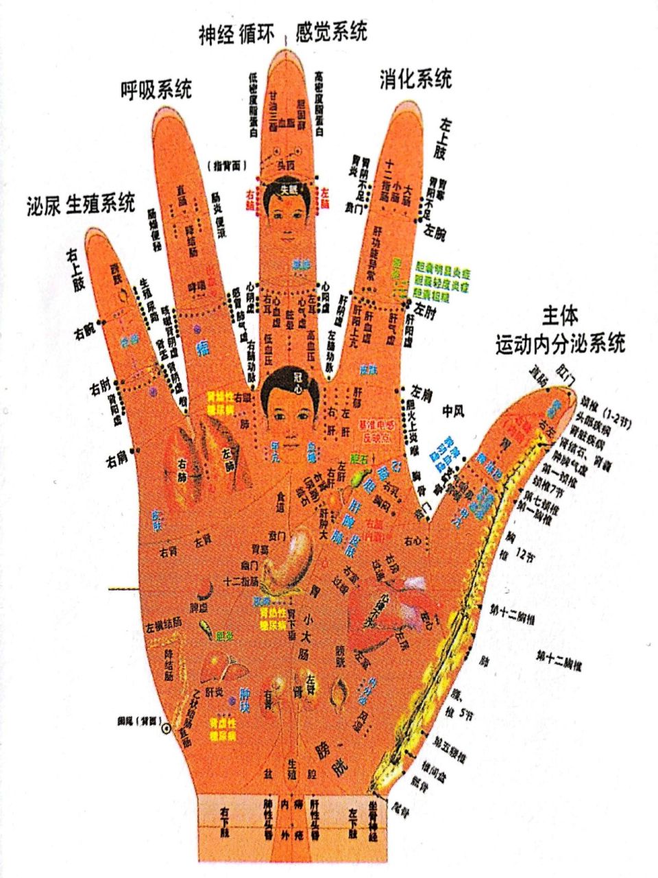 手掌按摩手法图片