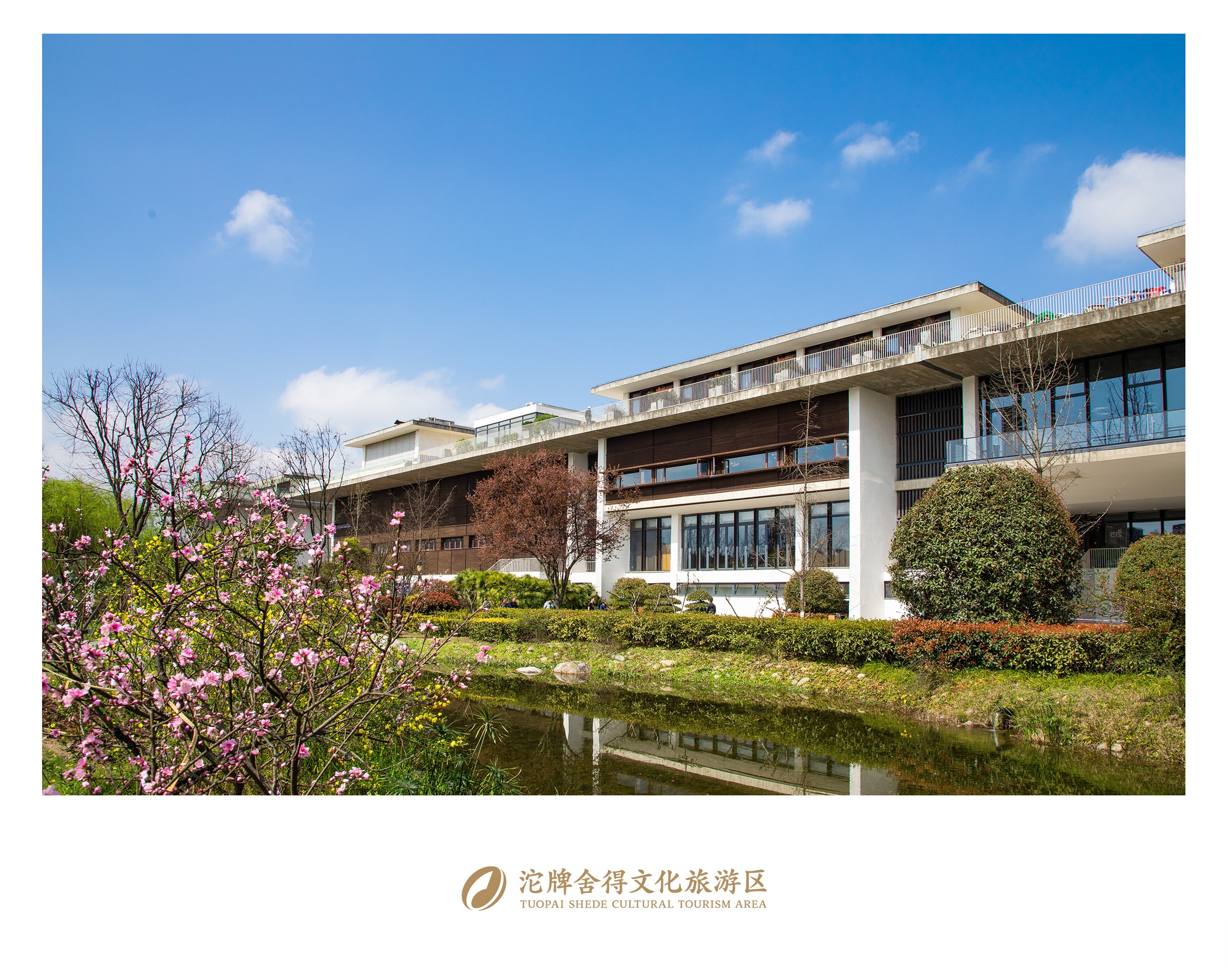 沱牌舍得文化旅游区,春风和煦,众芳摇曳,随手一拍都很出片