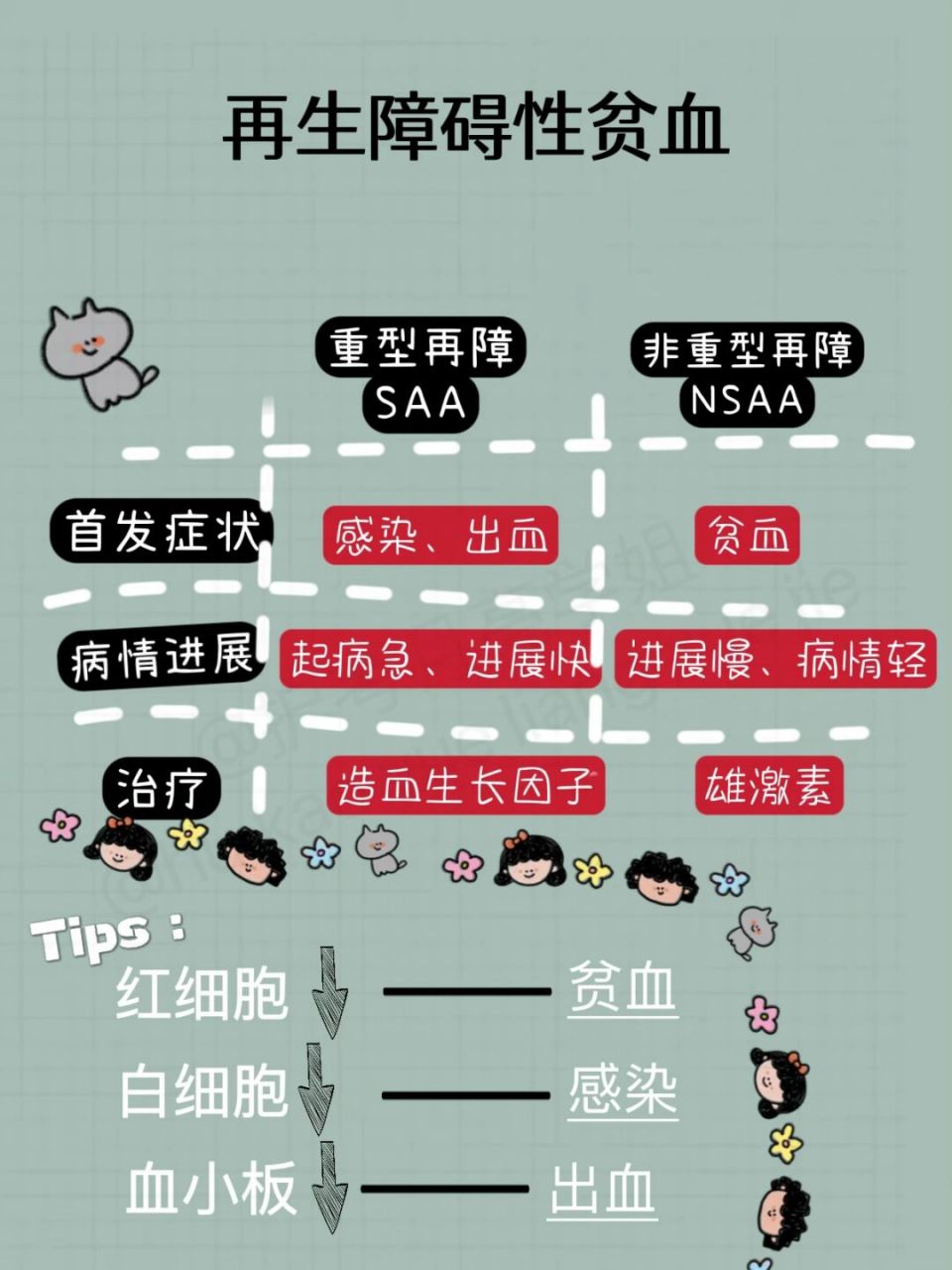 再生障碍性贫血考点归纳/重型非重型区别 7815 月亮不睡我不睡