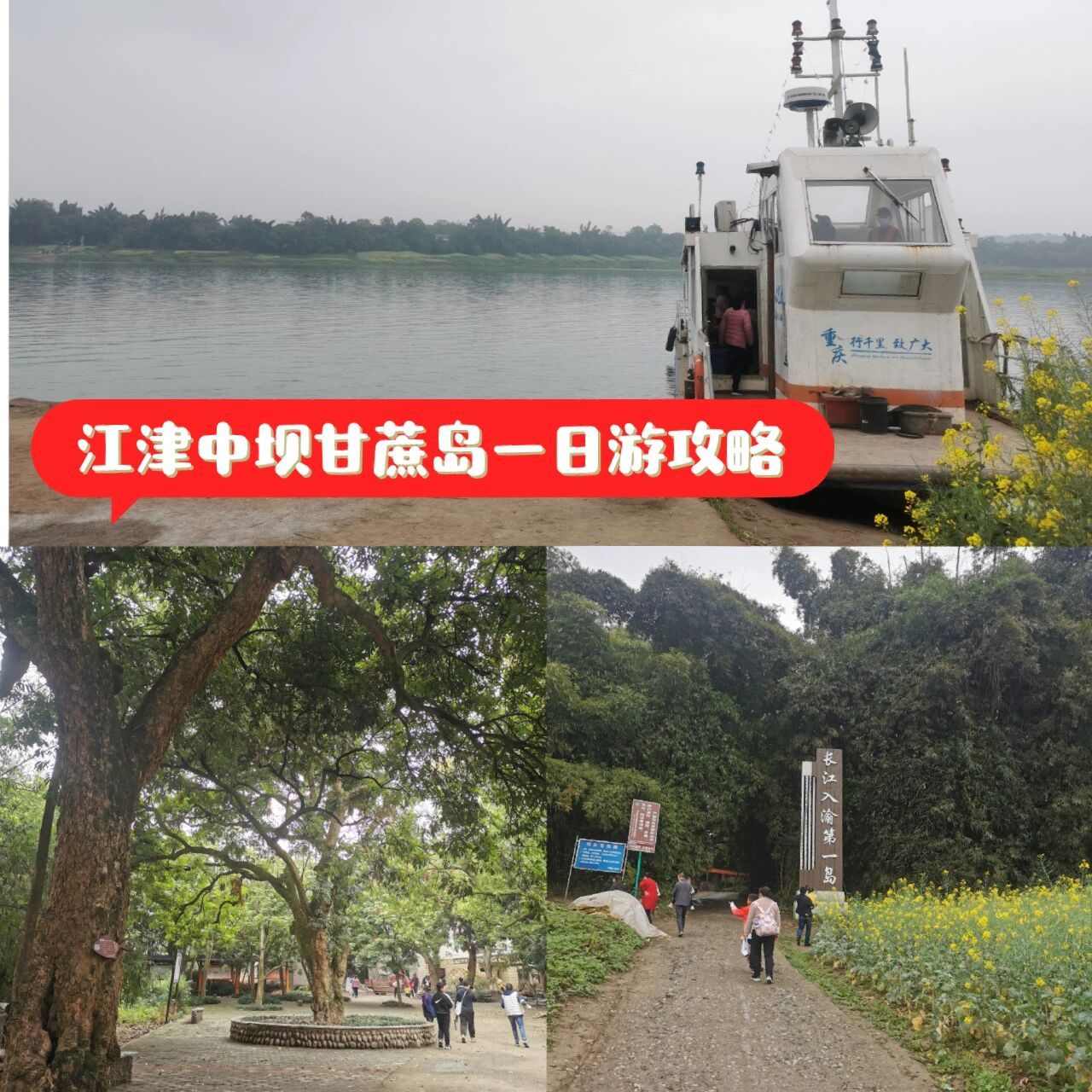 江津中坝岛五福庄园图片