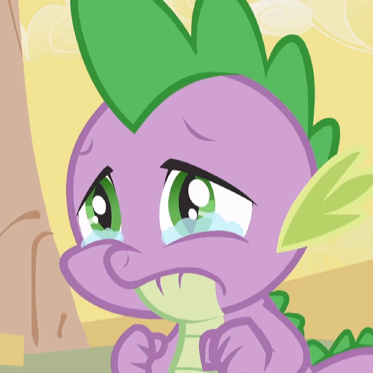 穗龙大头照 超萌穗龙 #小马宝莉# #mlp小马宝莉# #穗龙# #表情包