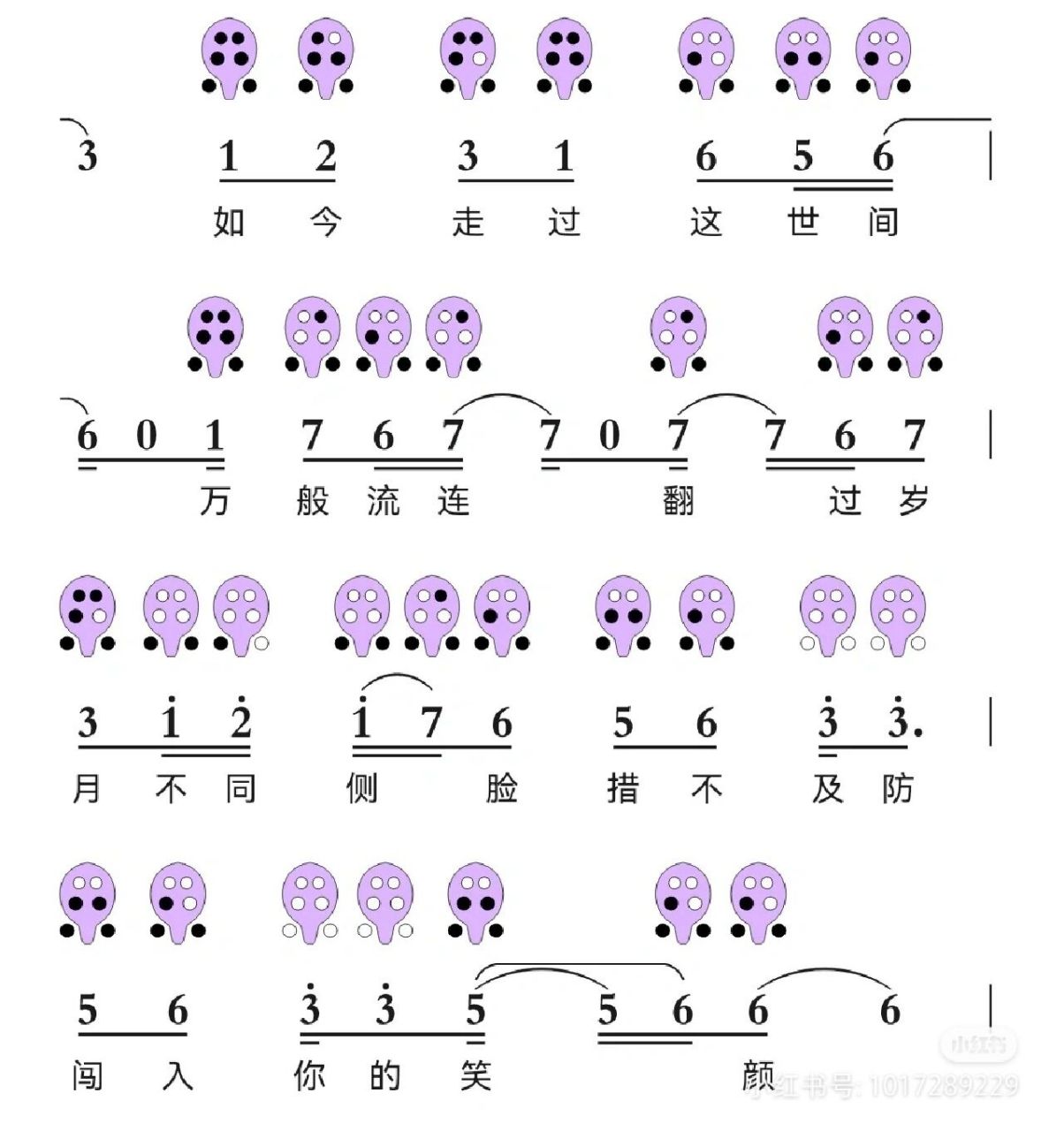 起风了陶笛12孔指法图片