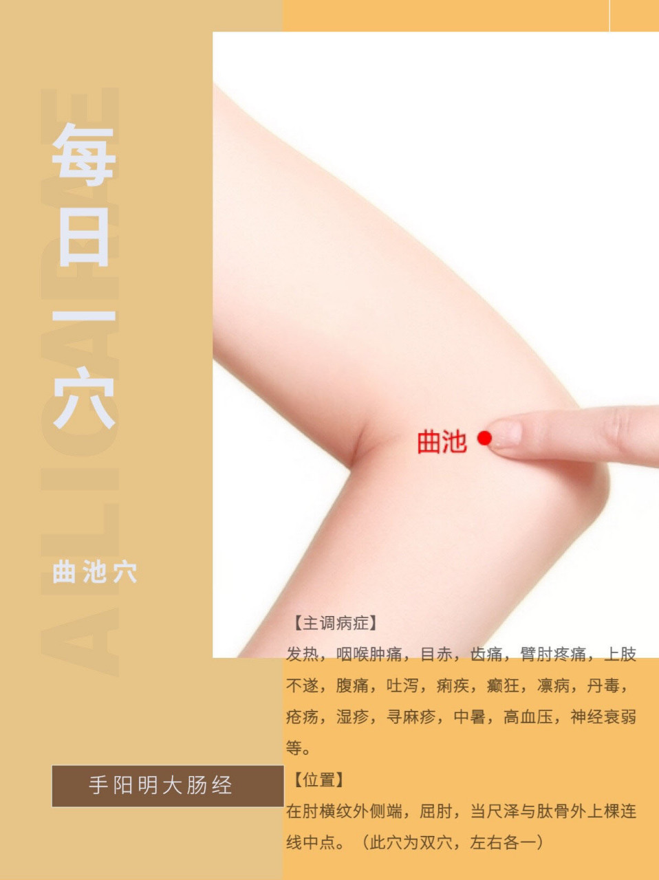 每日一穴·曲池穴 【主调病症】 发热,咽喉肿痛,目赤,齿痛,臂肘疼痛