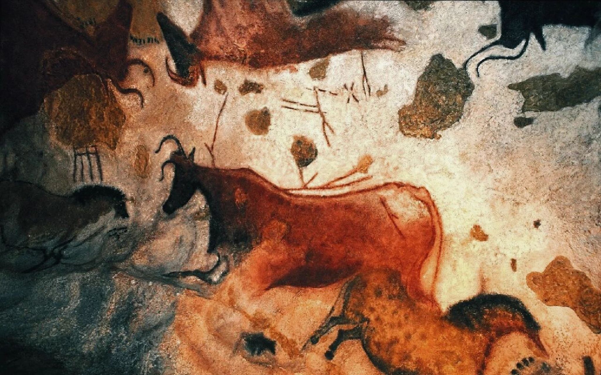 绘画的艺术【一】  史前起源洞穴岩画 "现存人类最早的绘画" 公元前4