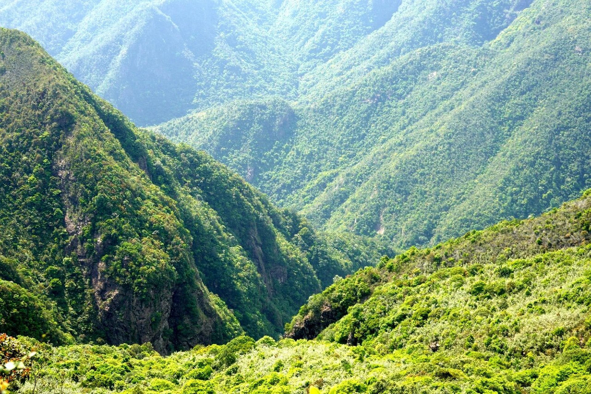 每周一山 | 陆丰银瓶山 每周一山徒步计划 海丰险峰大银瓶山,海拔1110