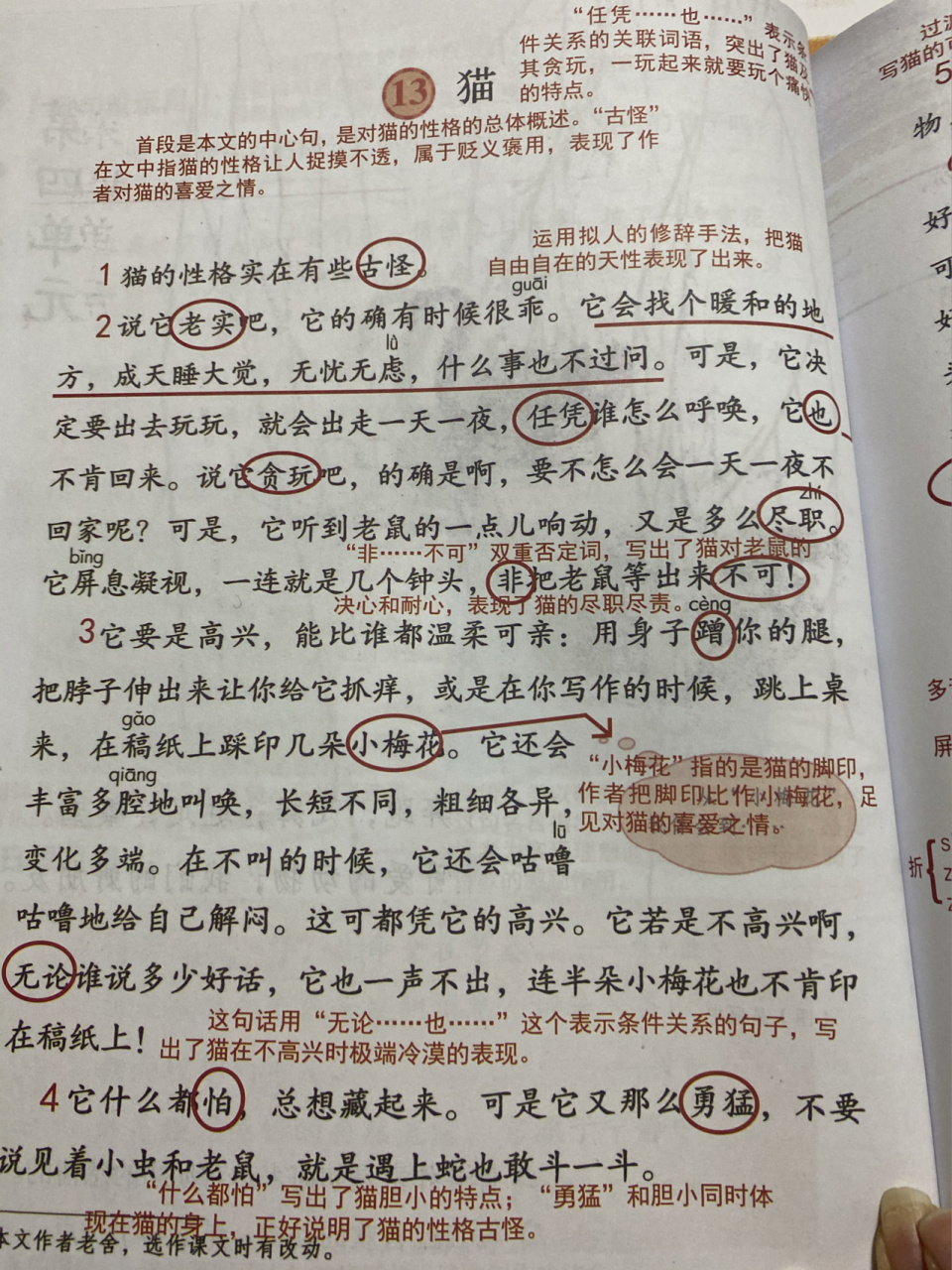 课堂笔记」四下13《猫》 作者老舍(1899----1966),满族人,原名舒庆春