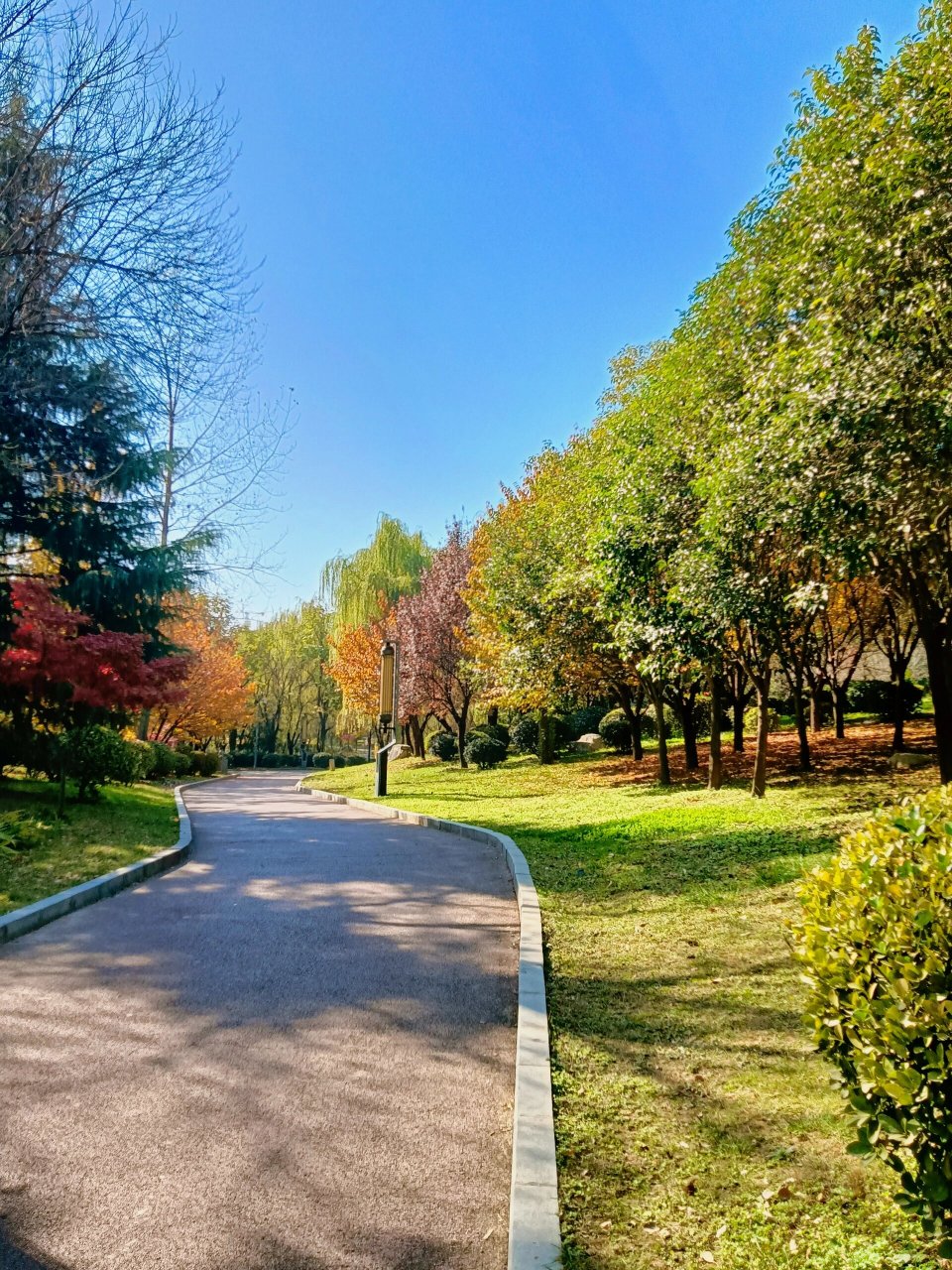 city walk|清凉山森林公园 7878吹过的风,路过的风景,没有一样是