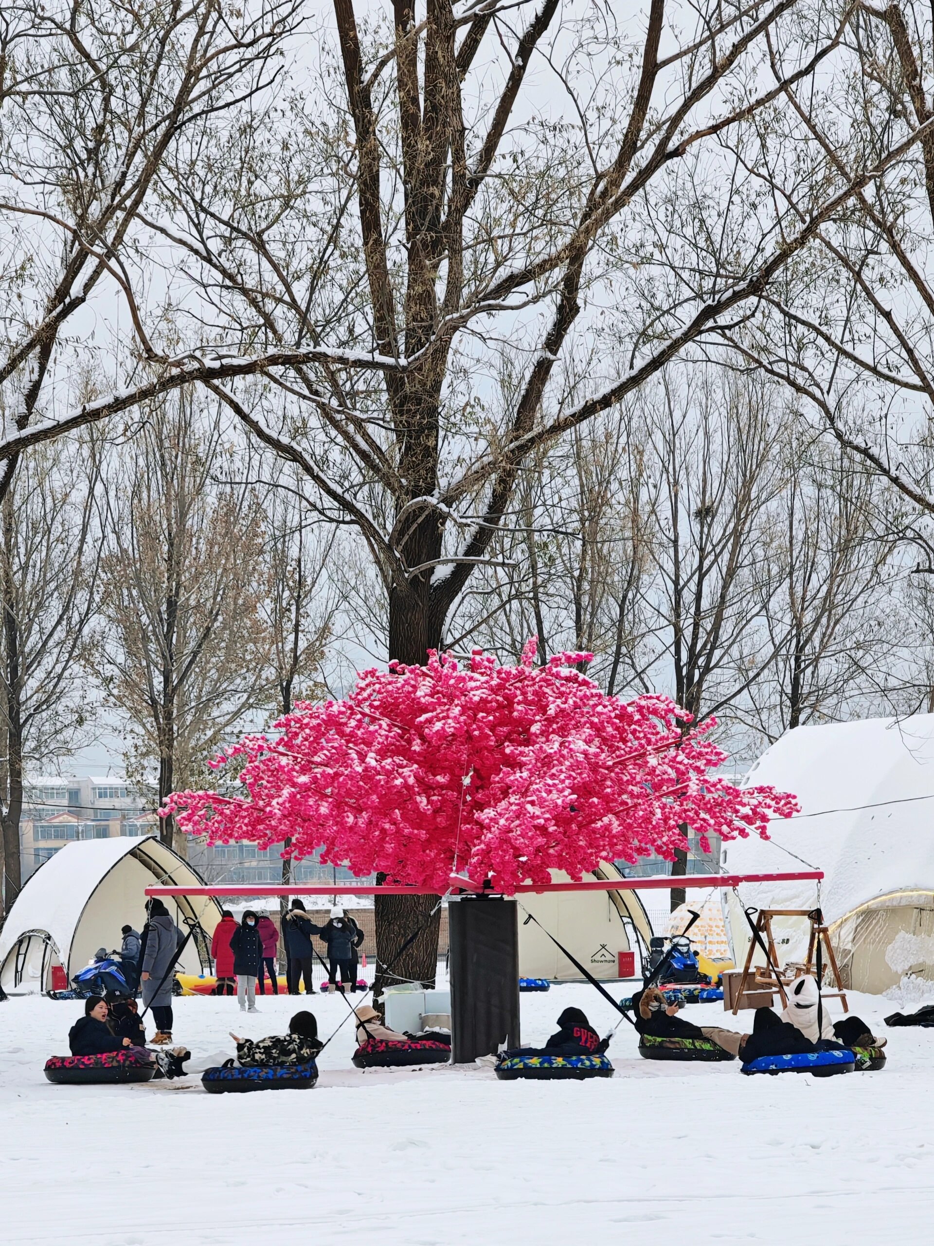 昌平冰雪乐园图片