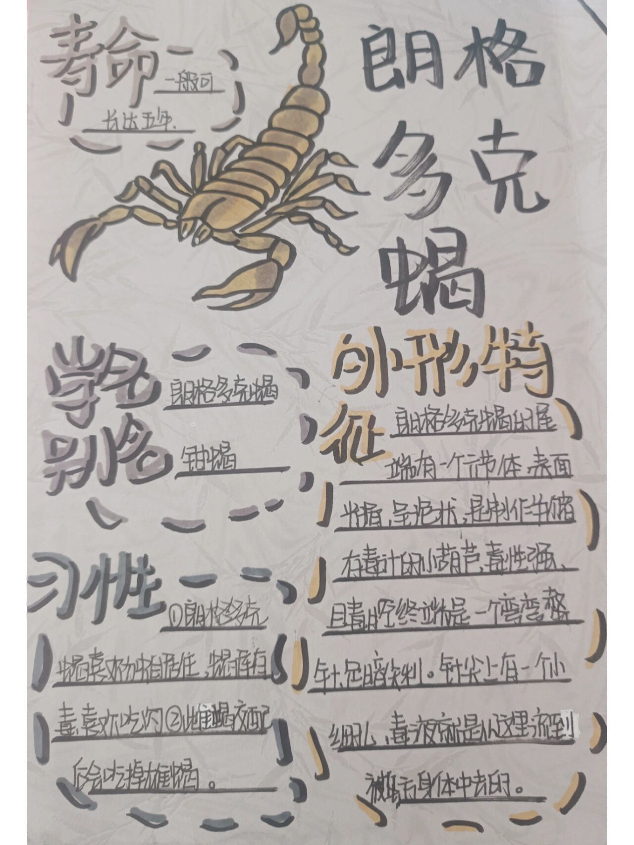 《昆虫记》之朗格多克蝎
