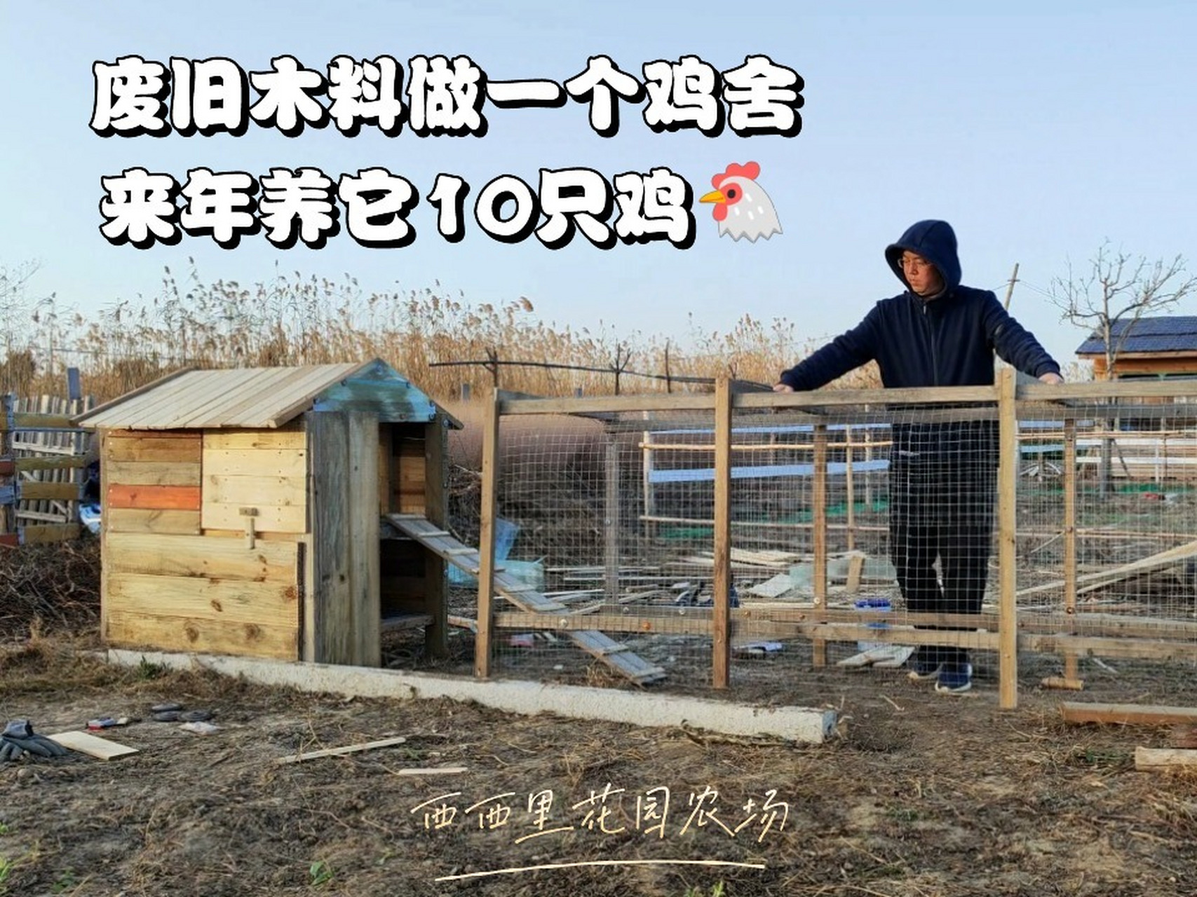 家庭农场鸡舍上新,废旧木料做一个鸡舍 材料: 废旧防腐木,3厘米镀锌网
