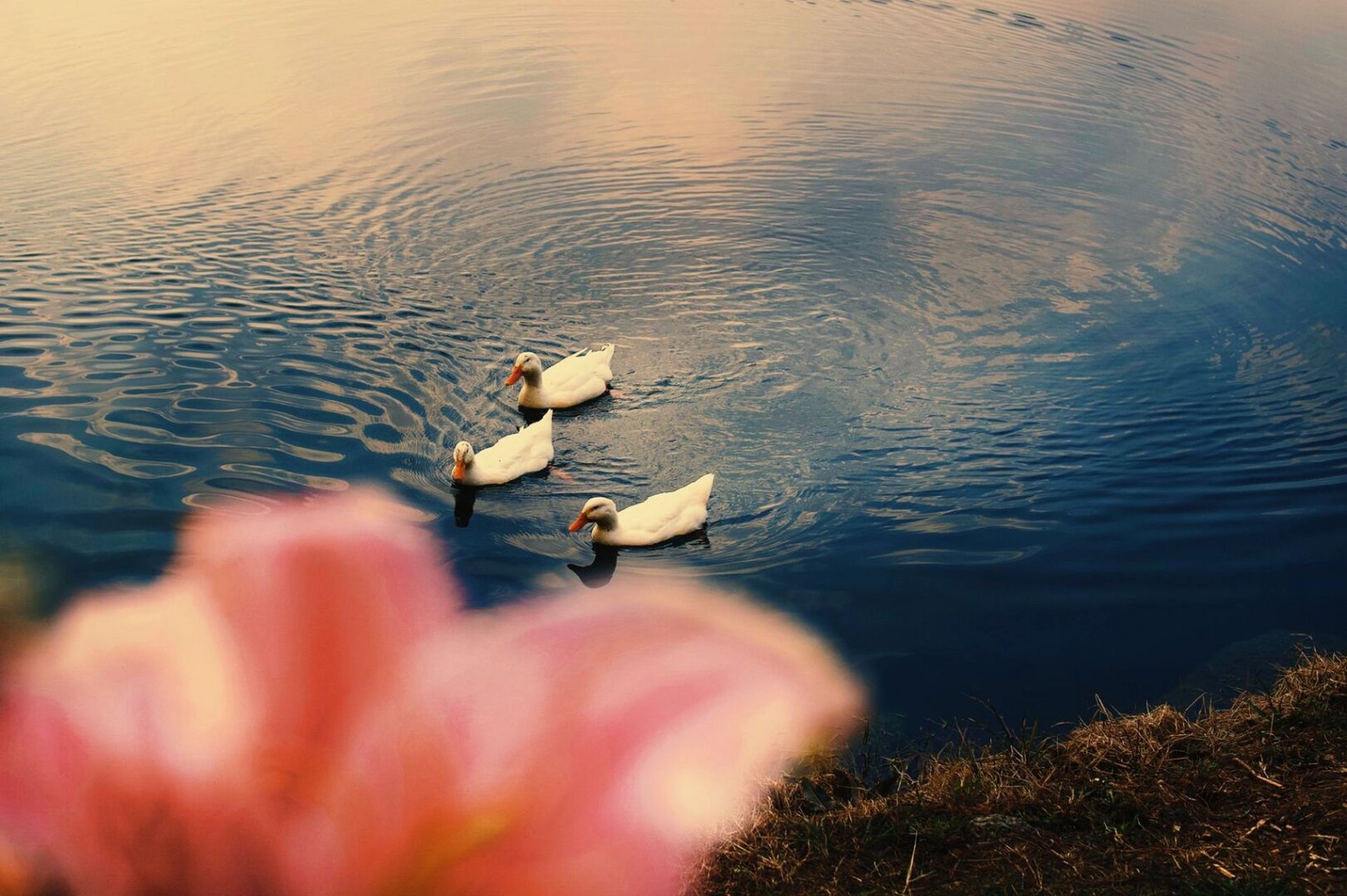 蓝色虚幻 - 7415修图app:vsco 7415滤镜:u4 7515曝光-6