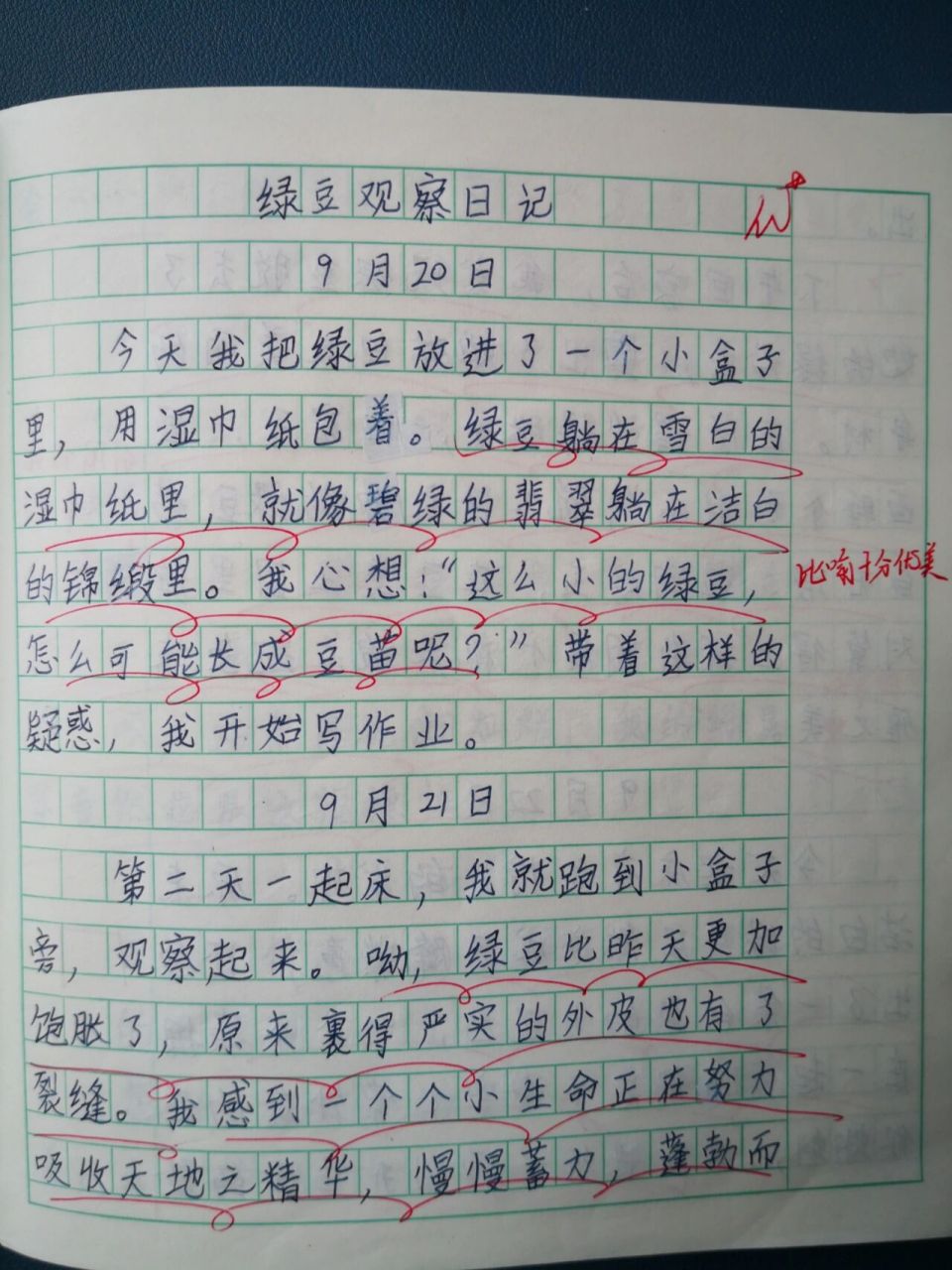 豆子观察日记四年级(观察日记观察豆子的日记四年级的)