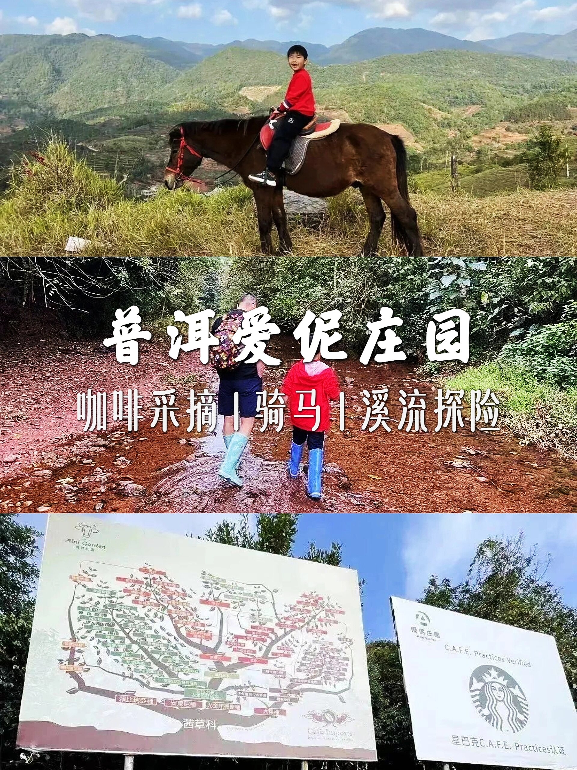 普洱小众酒店|爱伲庄园93|住进咖啡庄园 93朋友去年去的爱伲庄园