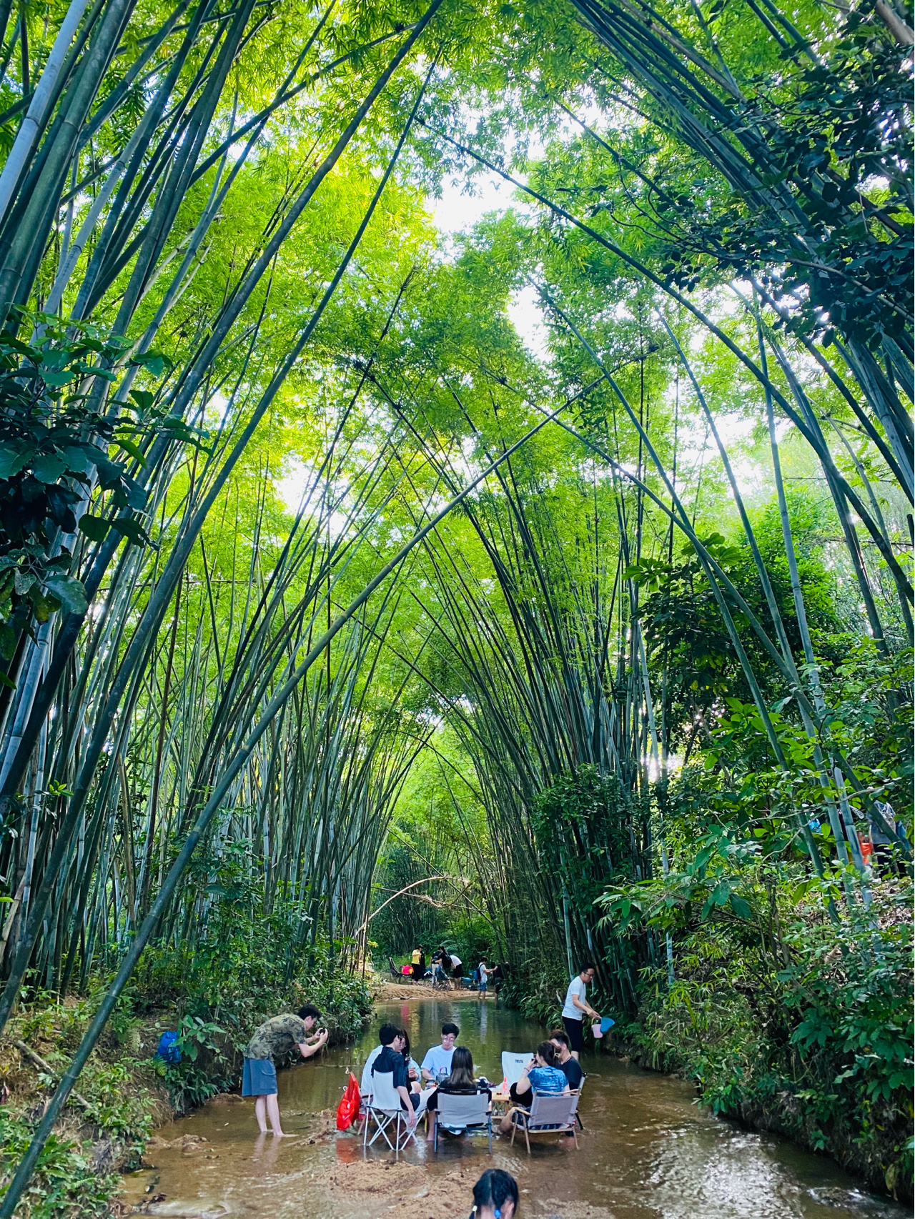 五桂山和平村旅游图片