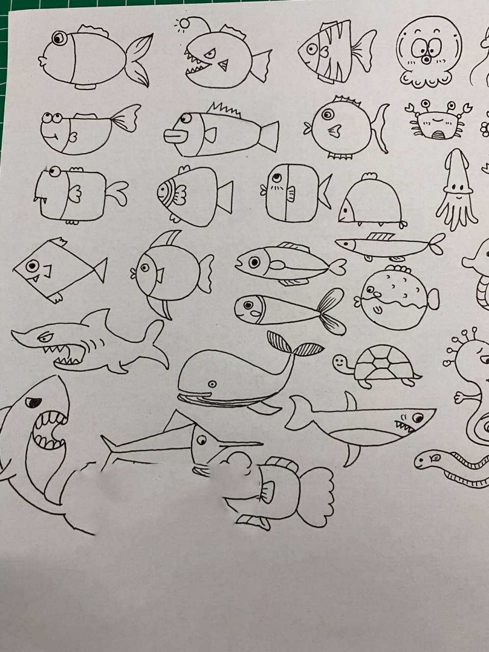 海洋简笔画 海底生物 海洋世界