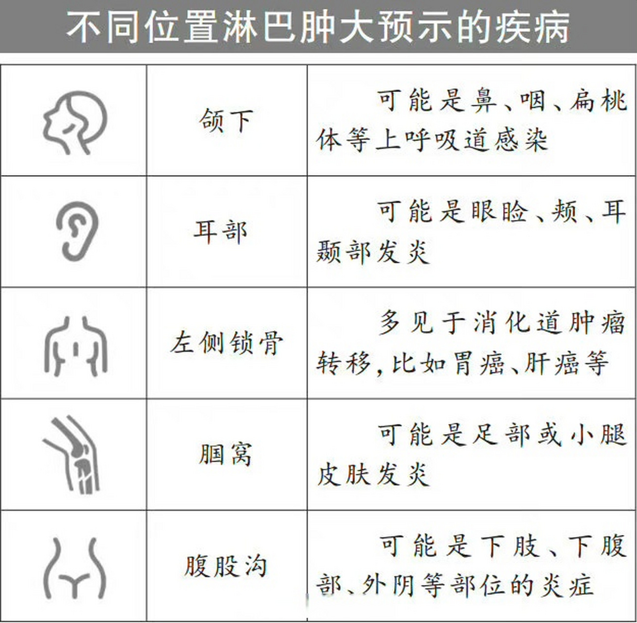 耳周,颌下,颈部,锁骨,腹股沟(大腿根儿),腘窝处的淋巴肿大,既有可能是