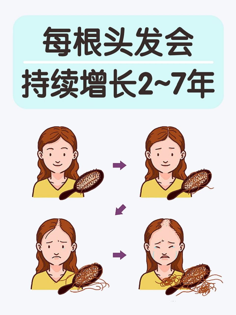 头发的生长周期 每一根头发会持续生长2~7年, 平均为4年,有ji少数人