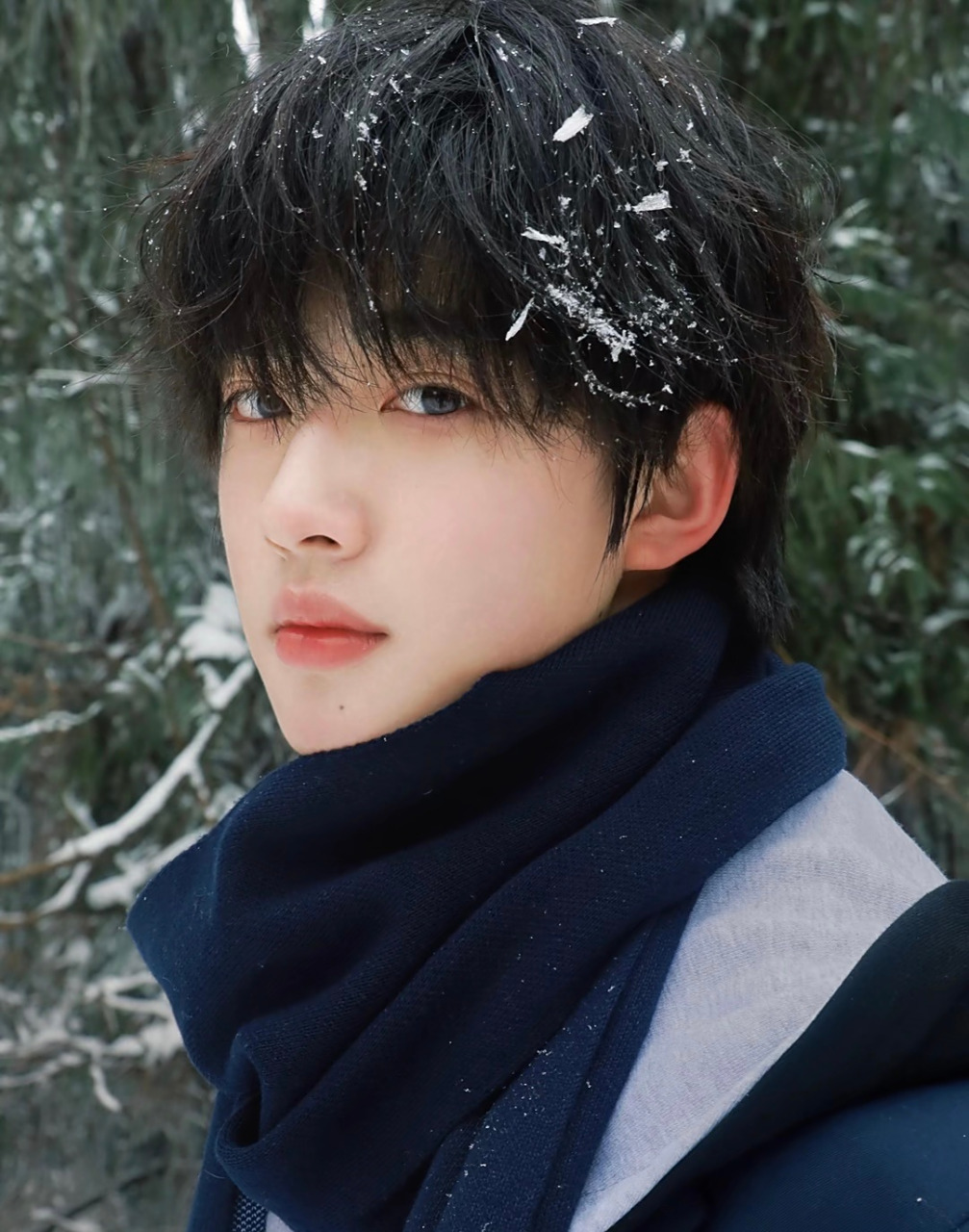 双眼皮帅哥[没眼看]