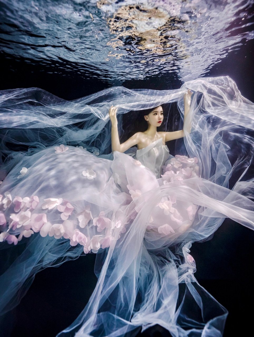 之前也拍过很多水下的潜水照片, 但是没想到水下还可以拍那么唯美的