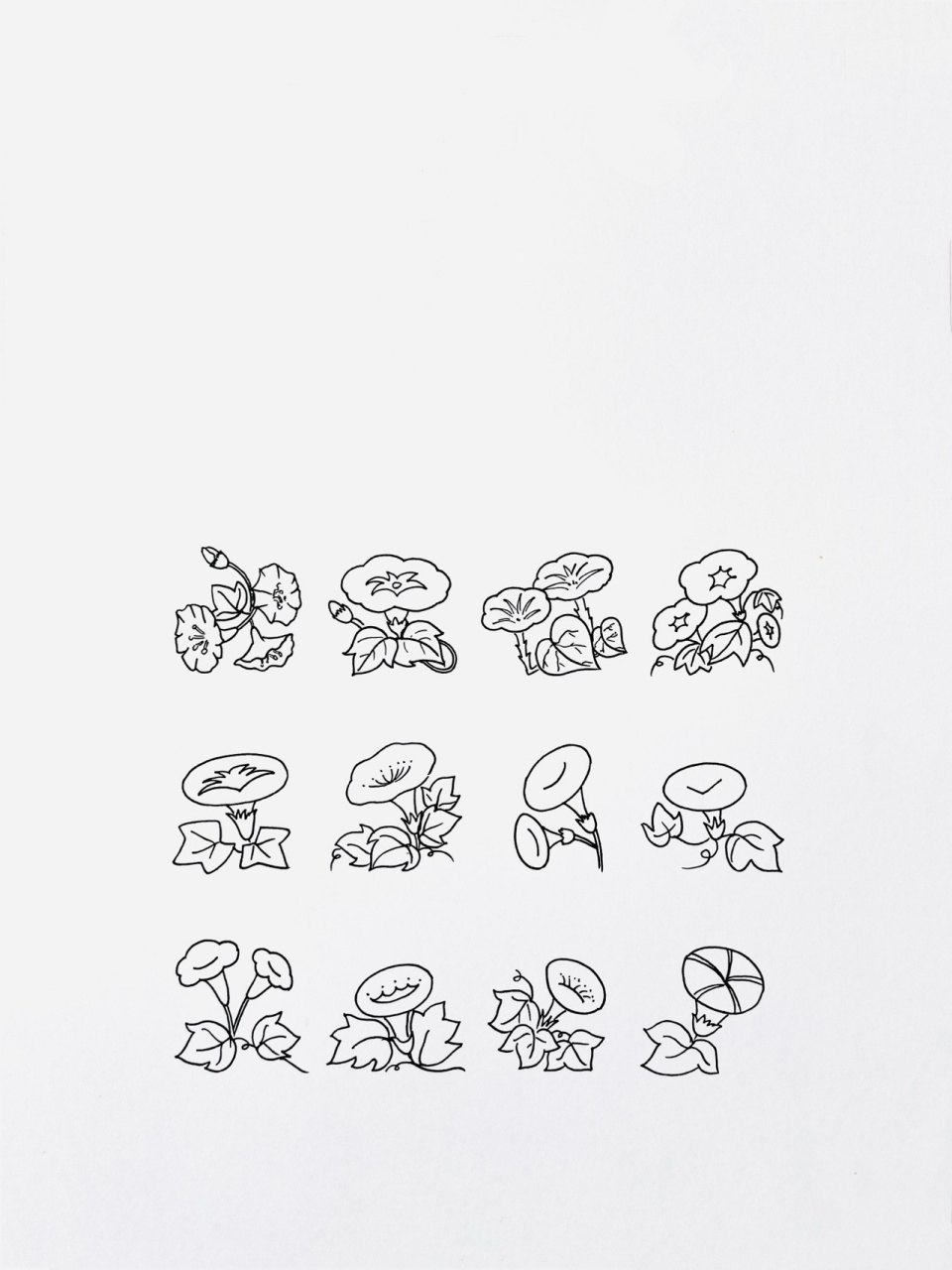 【简笔画】牵牛花 分享一组植物类简笔画 还喜欢什么,大家留言给我吧