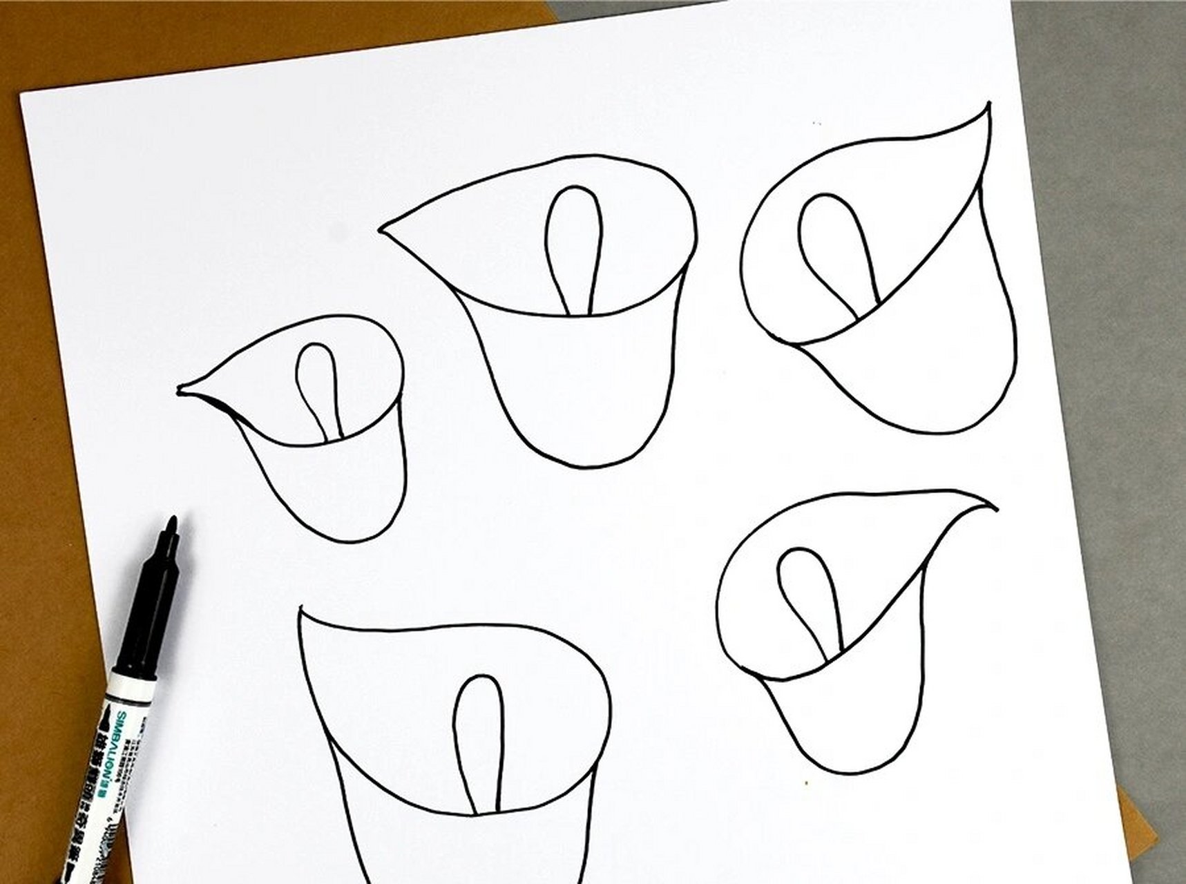 欣赏马蹄莲的素材图片,感受它的优美姿态,运用勾线笔画出马蹄莲移片