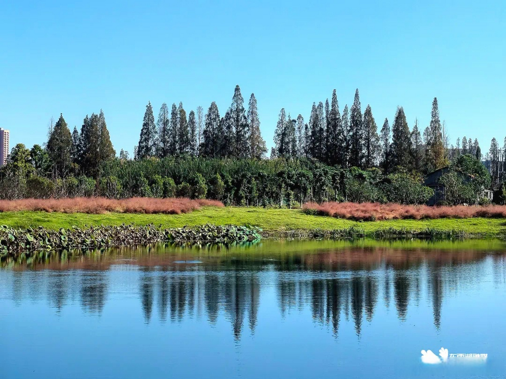 【东西湖#小微湿地# 2】近日,记者从东西湖区住房和建设局获悉,今年全