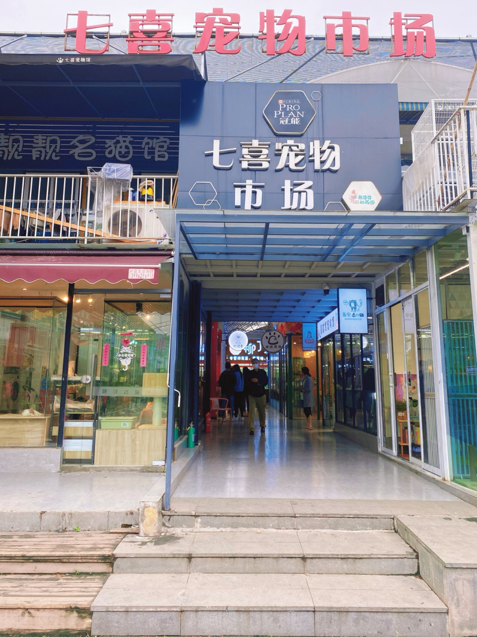 重庆花鸟市场03买花买鱼买宠物的天堂6015 最近熊婆婆的花园太