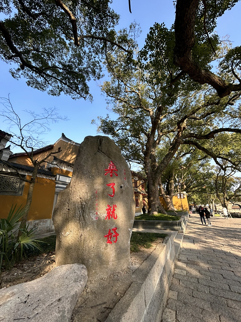 普陀山新增了几块石头 佛顶山慧济寺的上来就好 普济寺边上的来了就好