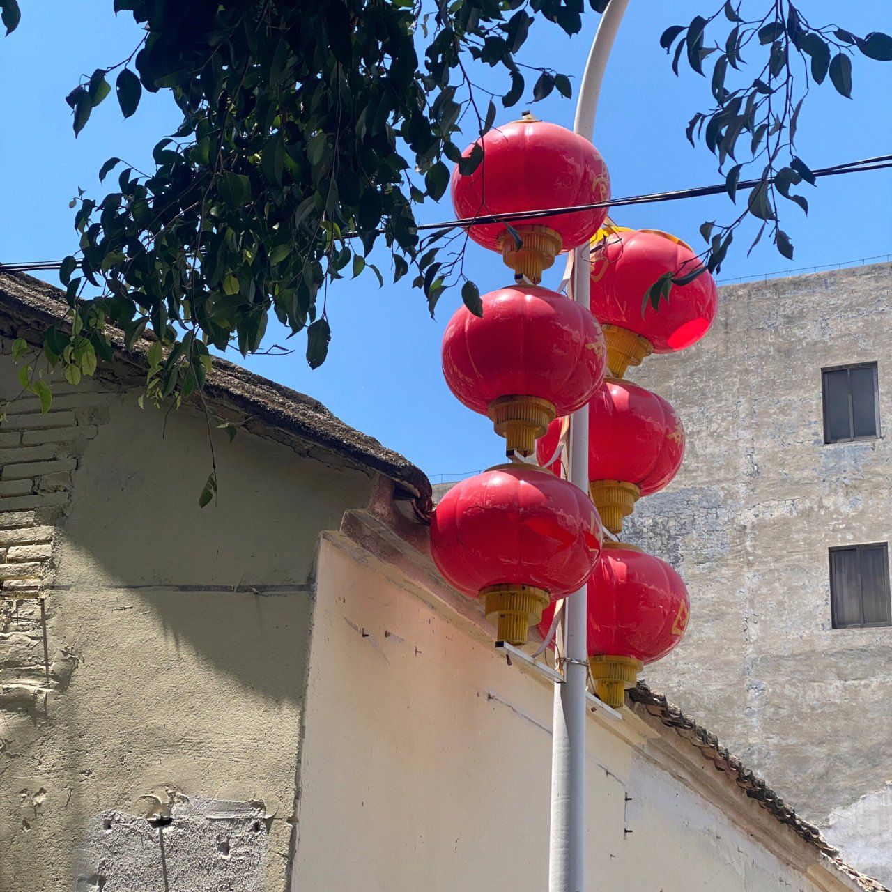 湛江麻斜|超灵超准的侯王庙9399| 拿好小本本记好路线啦95