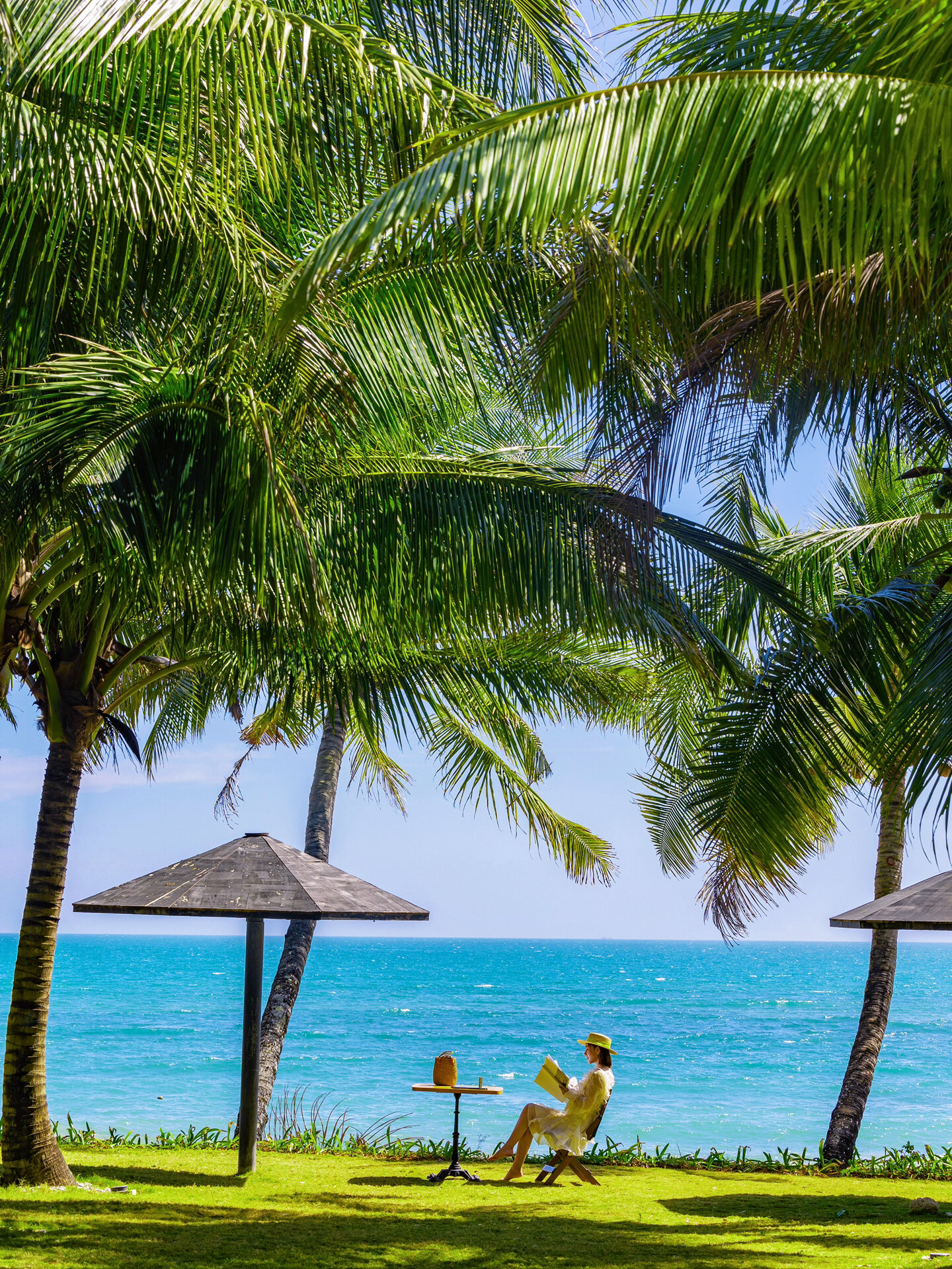 我心目中三亚最美椰林,度假氛围no.1❗