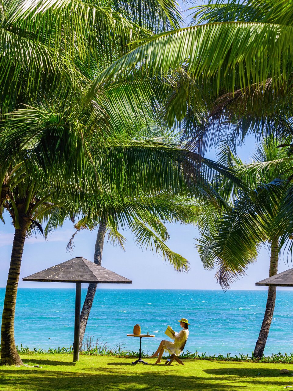 椰林,沙滩,草地,大海 简直就是我梦想中的场景 不想过冬,去三亚晒个