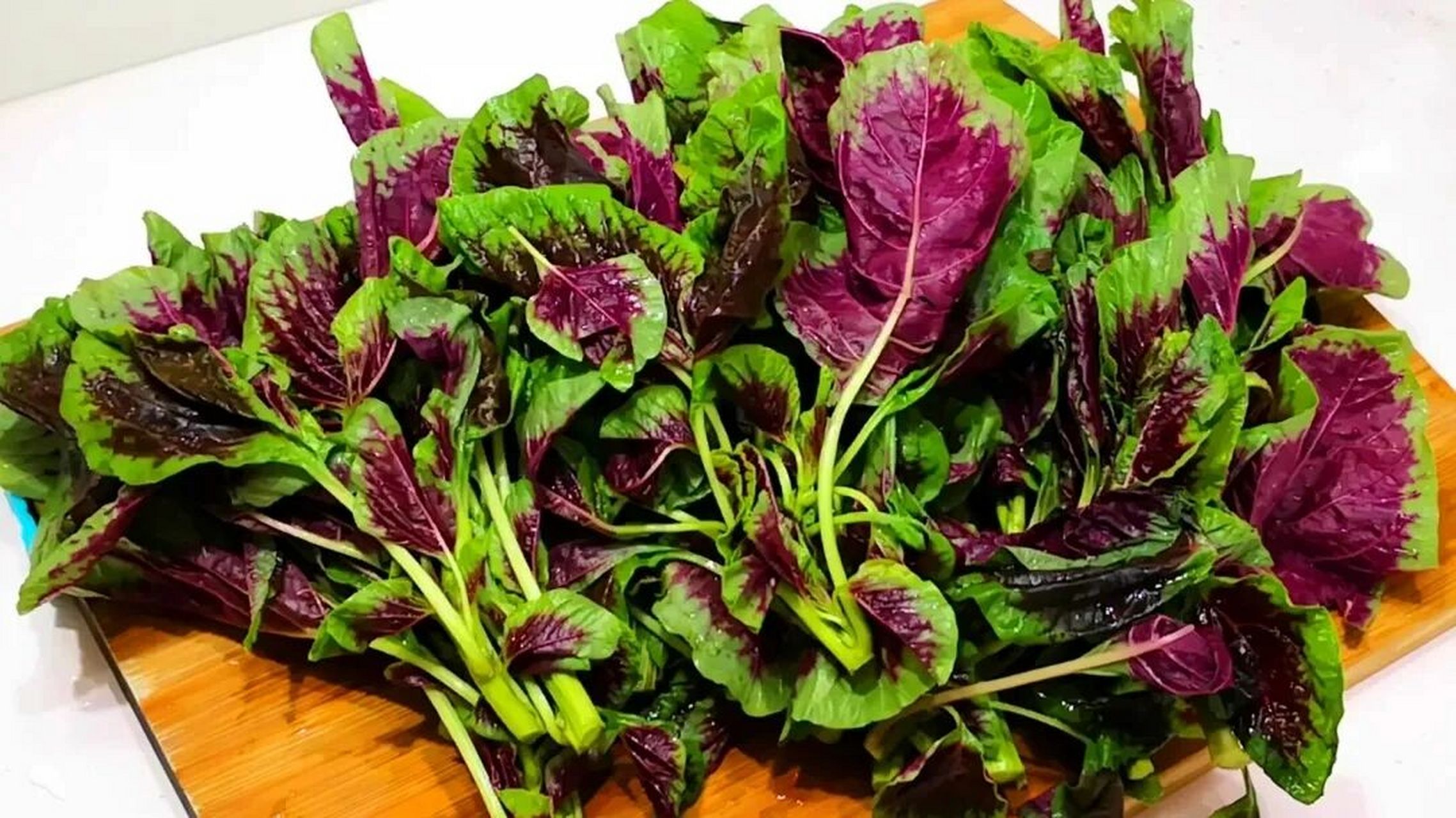 苋菜菜身软滑而菜味浓,入口甘香,有润肠胃清热功效.