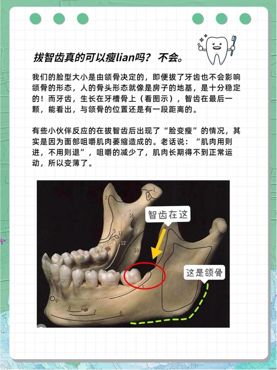 拔智齿恢复过程图解图片