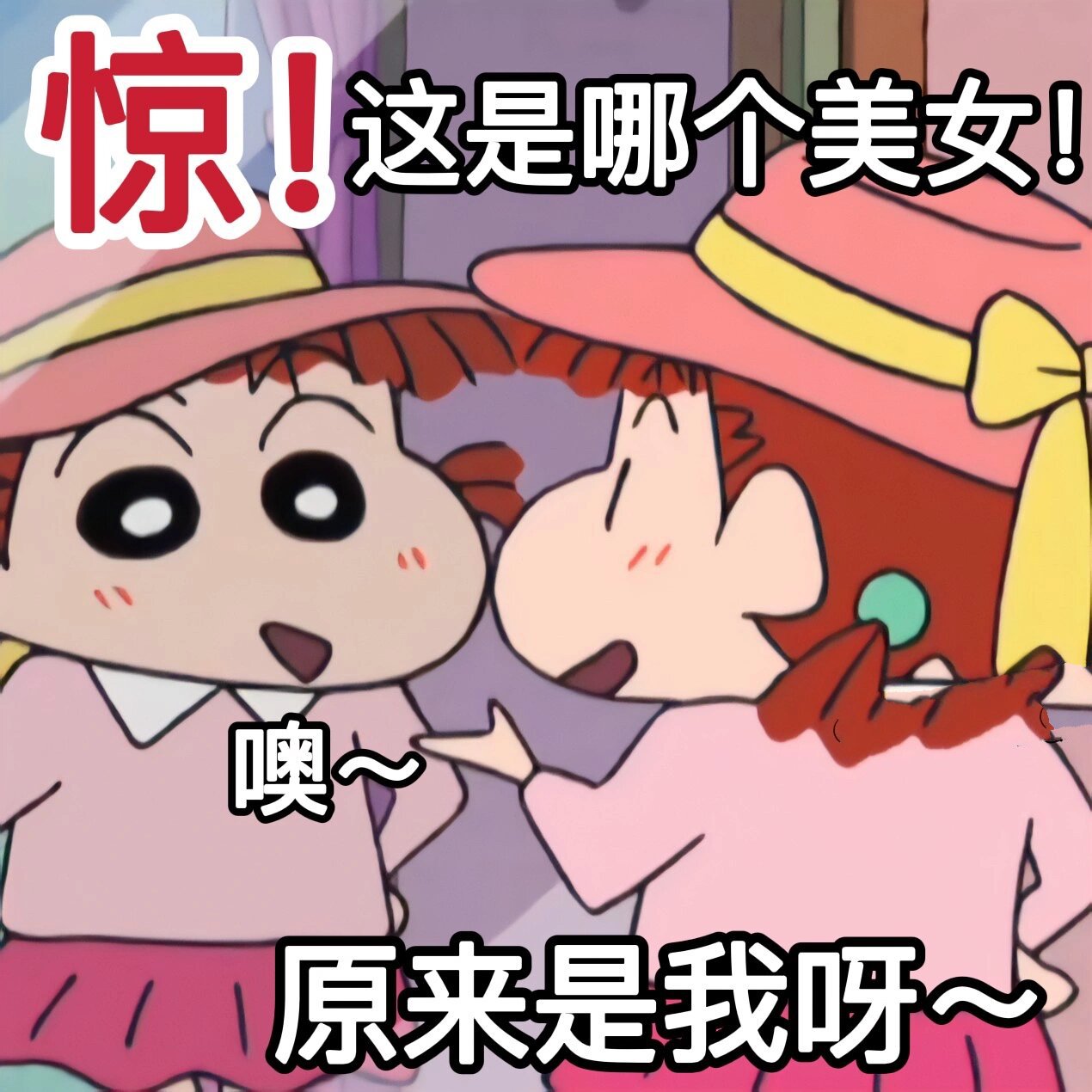 蜡笔小新自信美女表情包