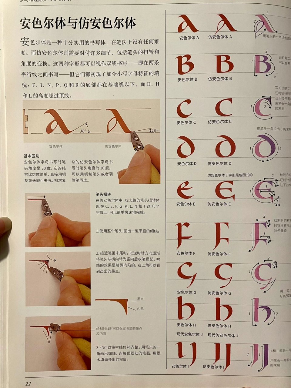 英语书法|安色尔体&仿安色体字母表 罗马安色尔书写体(littera uncial