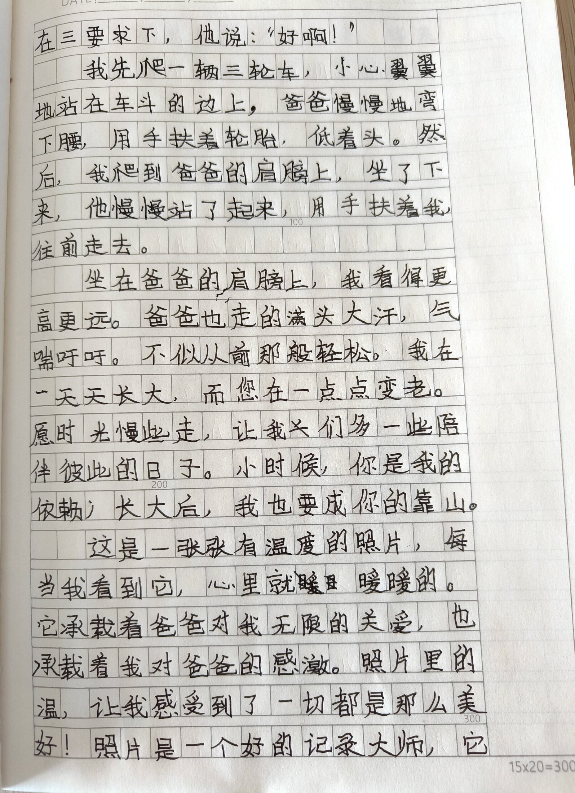 四年级上册第五单元习作—《照片里的温暖》