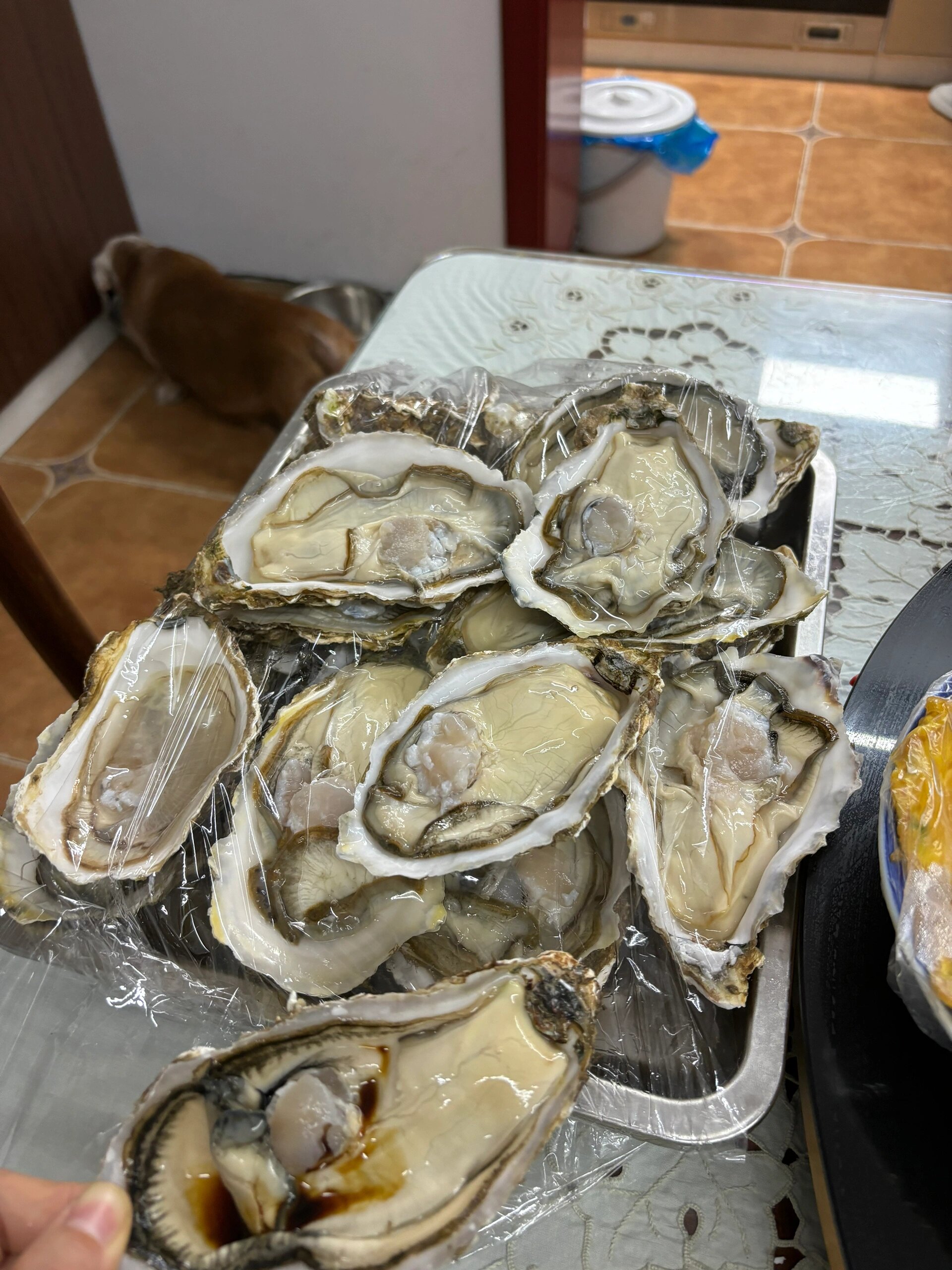 大生蚝可以生吃,好便宜149块18个10斤.129块10个5斤,果断买10斤装的